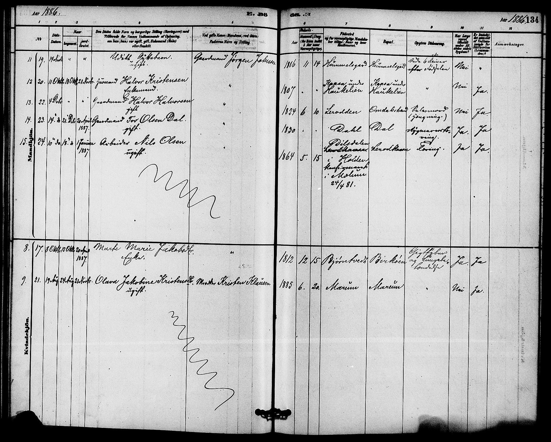 Solum kirkebøker, SAKO/A-306/F/Fb/L0001: Parish register (official) no. II 1, 1877-1892, p. 134