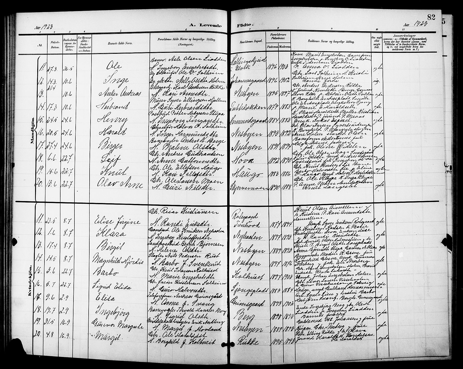 Nes kirkebøker, AV/SAKO-A-236/G/Ga/L0004: Parish register (copy) no. I 4, 1900-1925, p. 82