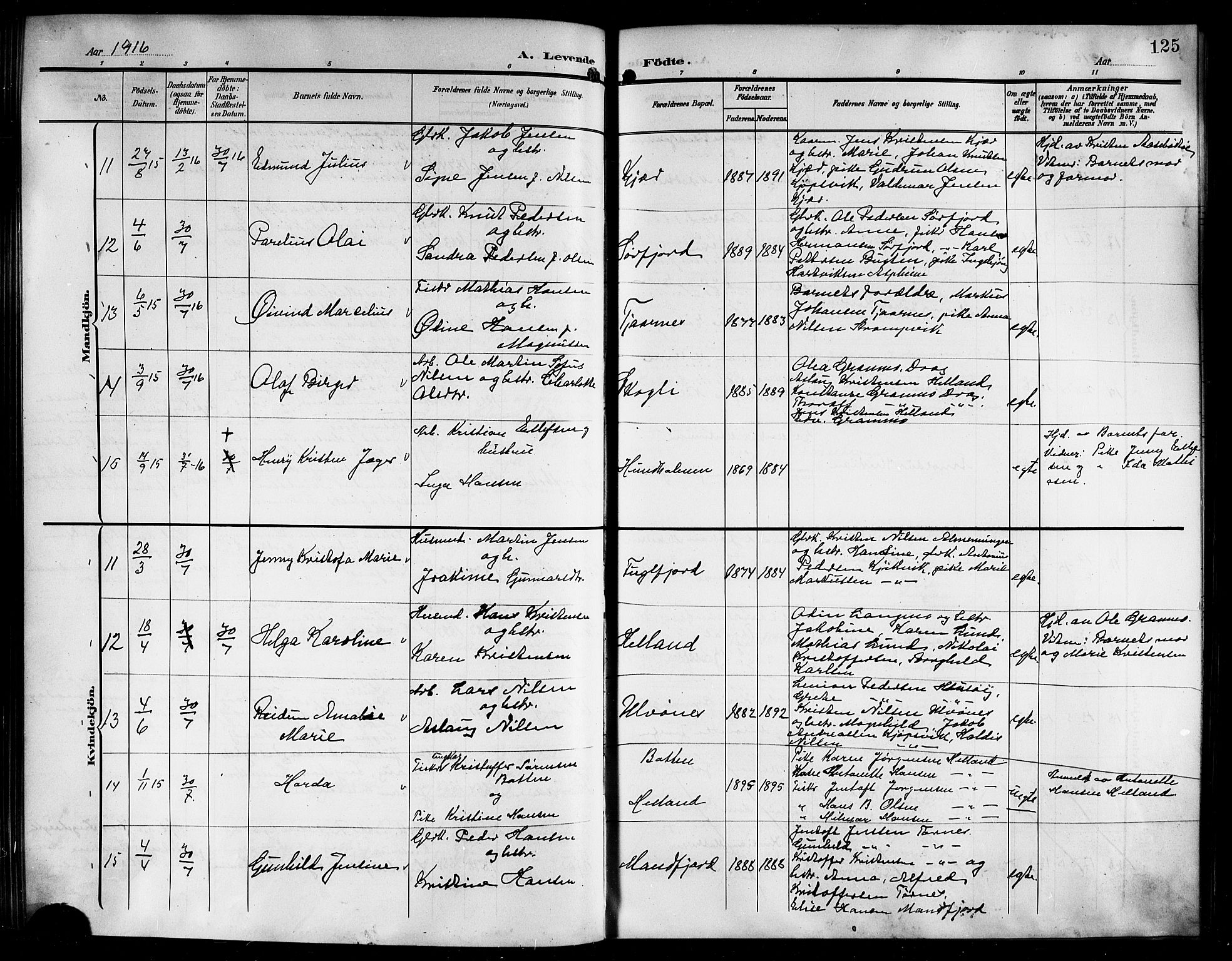 Ministerialprotokoller, klokkerbøker og fødselsregistre - Nordland, AV/SAT-A-1459/861/L0877: Parish register (copy) no. 861C03, 1903-1919, p. 125