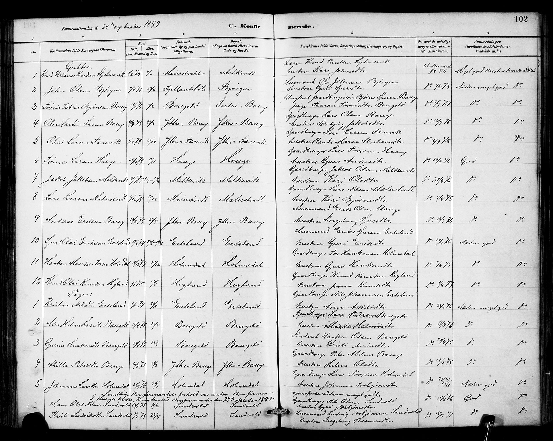 Husnes Sokneprestembete, SAB/A-75901/H/Hab: Parish register (copy) no. B 2, 1884-1914, p. 102
