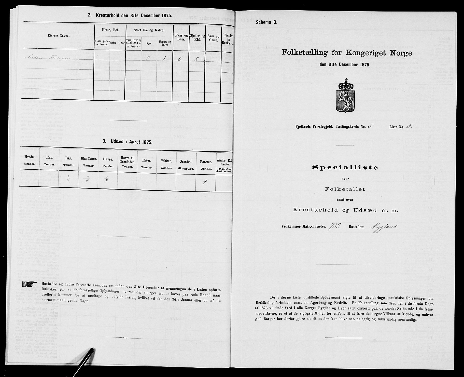 SAK, 1875 census for 1036P Fjotland, 1875, p. 307