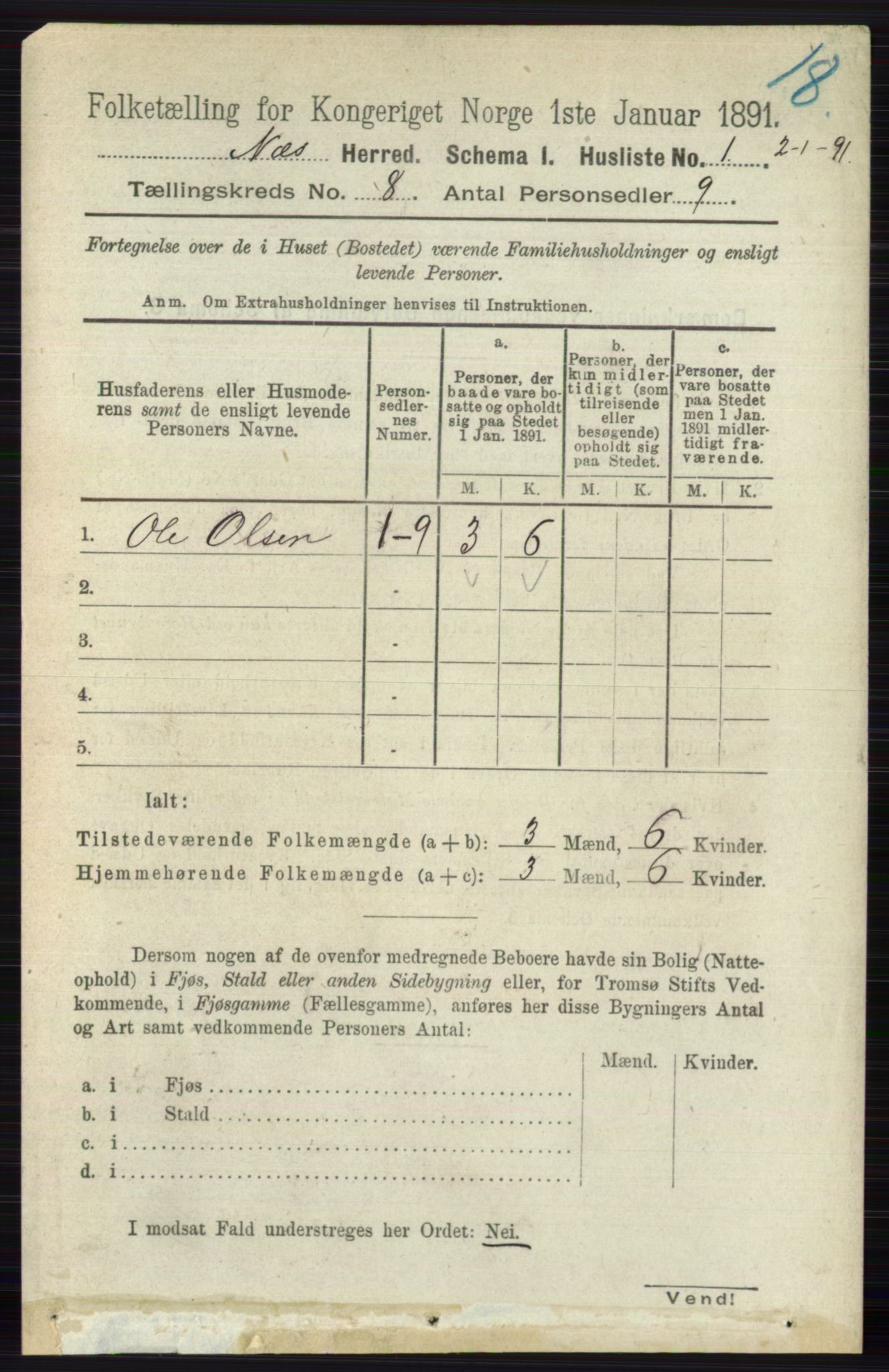 RA, 1891 census for 0616 Nes, 1891, p. 4048