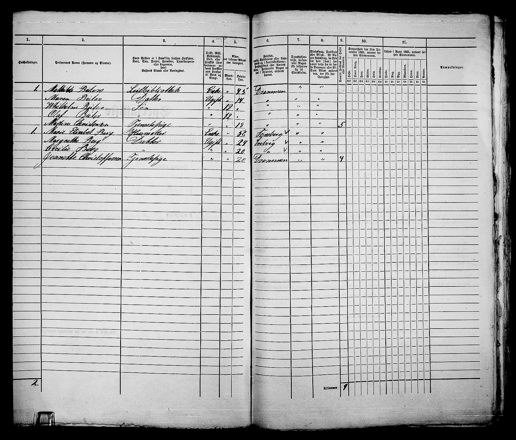 RA, 1865 census for Bragernes in Drammen, 1865, p. 541