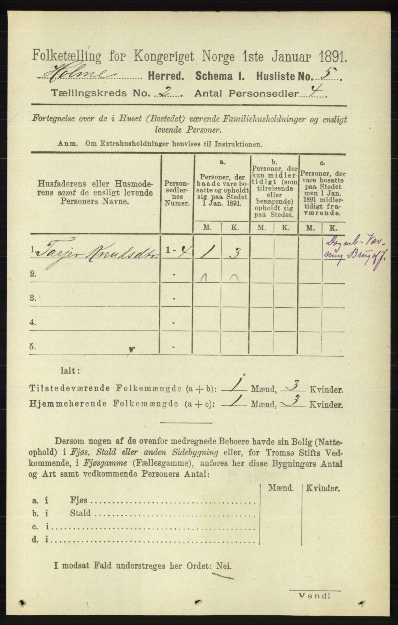 RA, 1891 census for 1020 Holum, 1891, p. 172