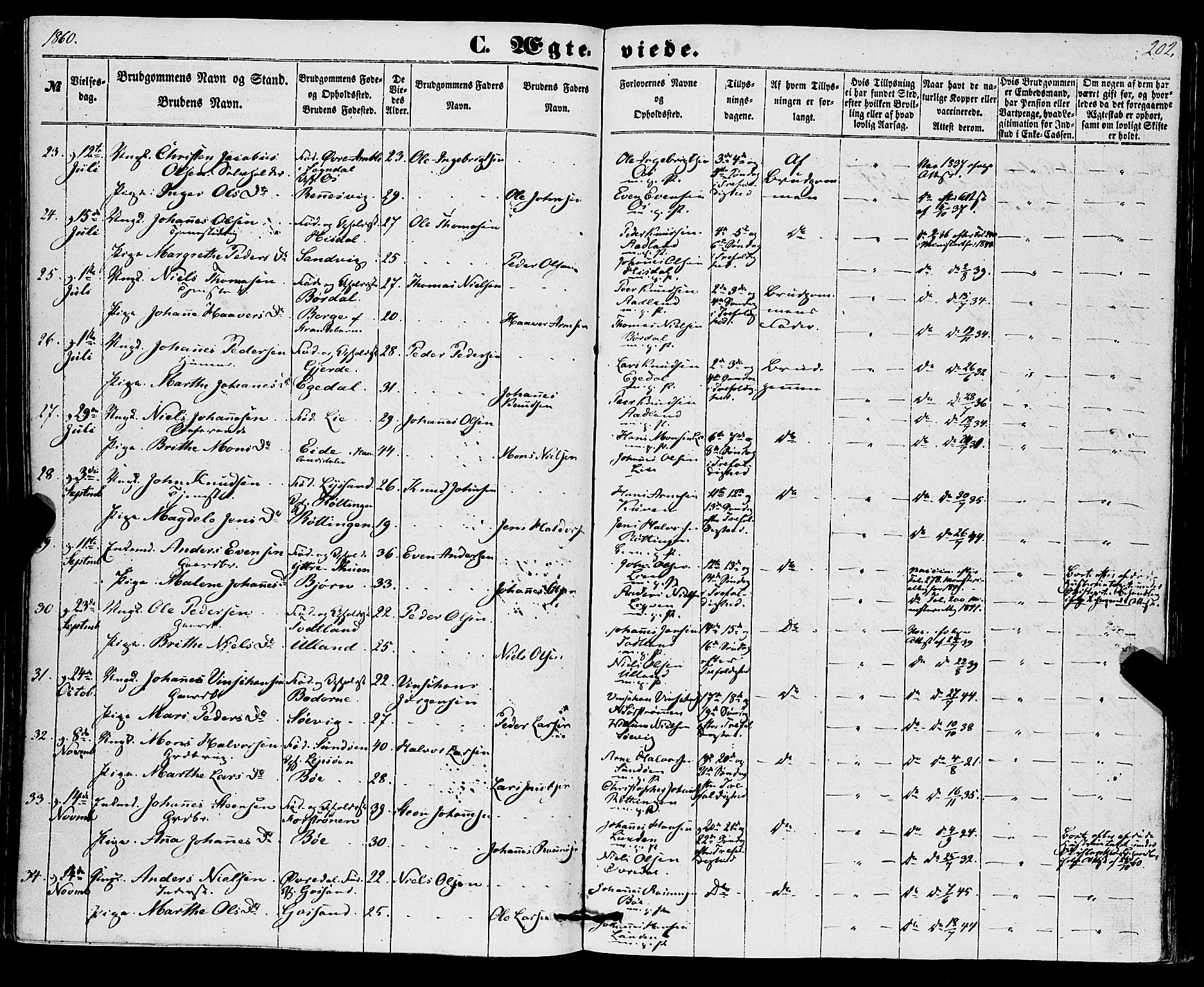 Os sokneprestembete, AV/SAB-A-99929: Parish register (official) no. A 17, 1860-1873, p. 202