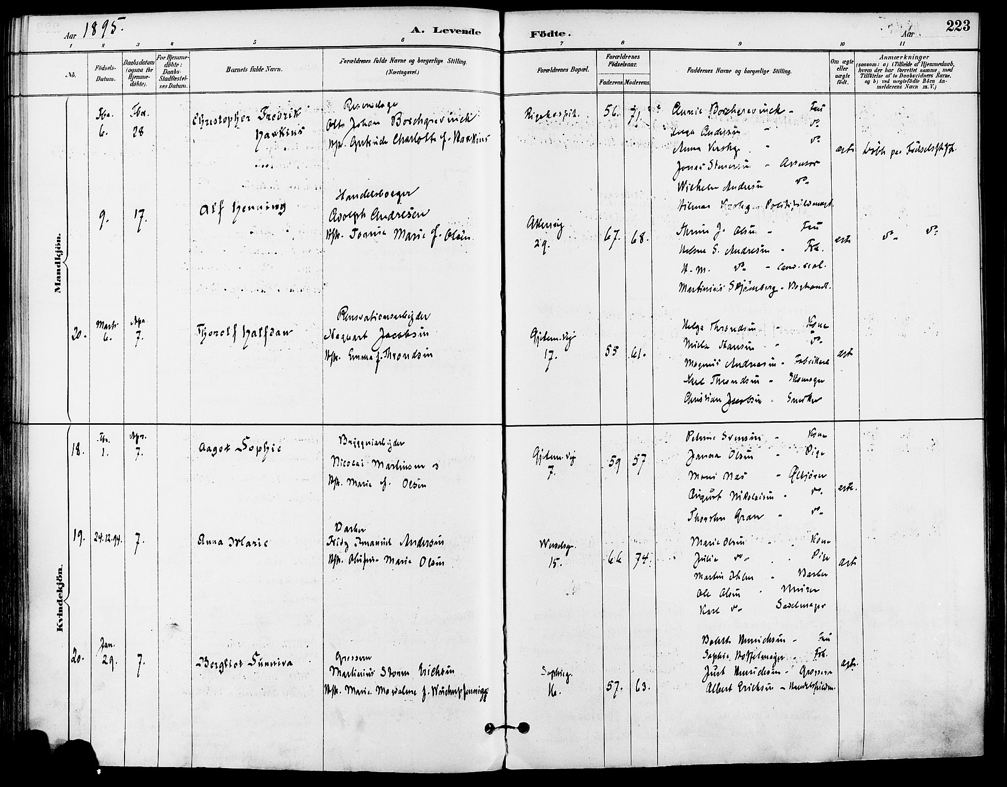 Gamle Aker prestekontor Kirkebøker, AV/SAO-A-10617a/F/L0008: Parish register (official) no. 8, 1887-1896, p. 223