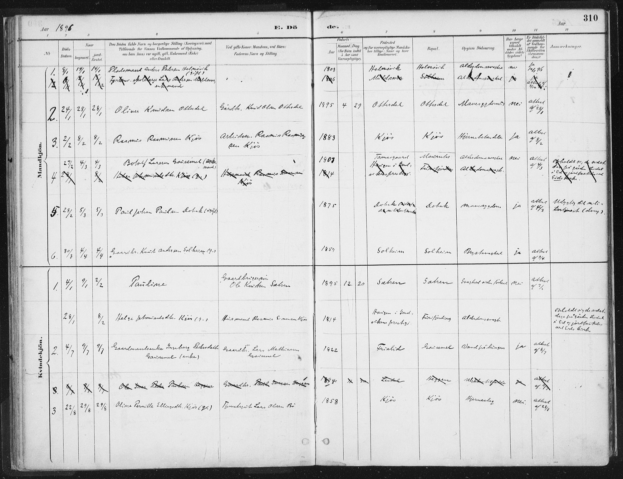 Hornindal sokneprestembete, SAB/A-82401/H/Haa/Haaa/L0003/0002: Parish register (official) no. A 3B, 1885-1917, p. 310