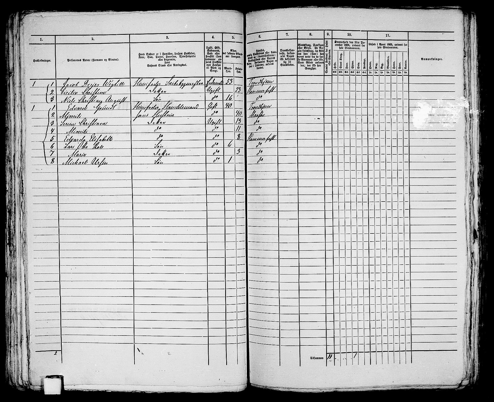 RA, 1865 census for Hammerfest/Hammerfest, 1865, p. 126