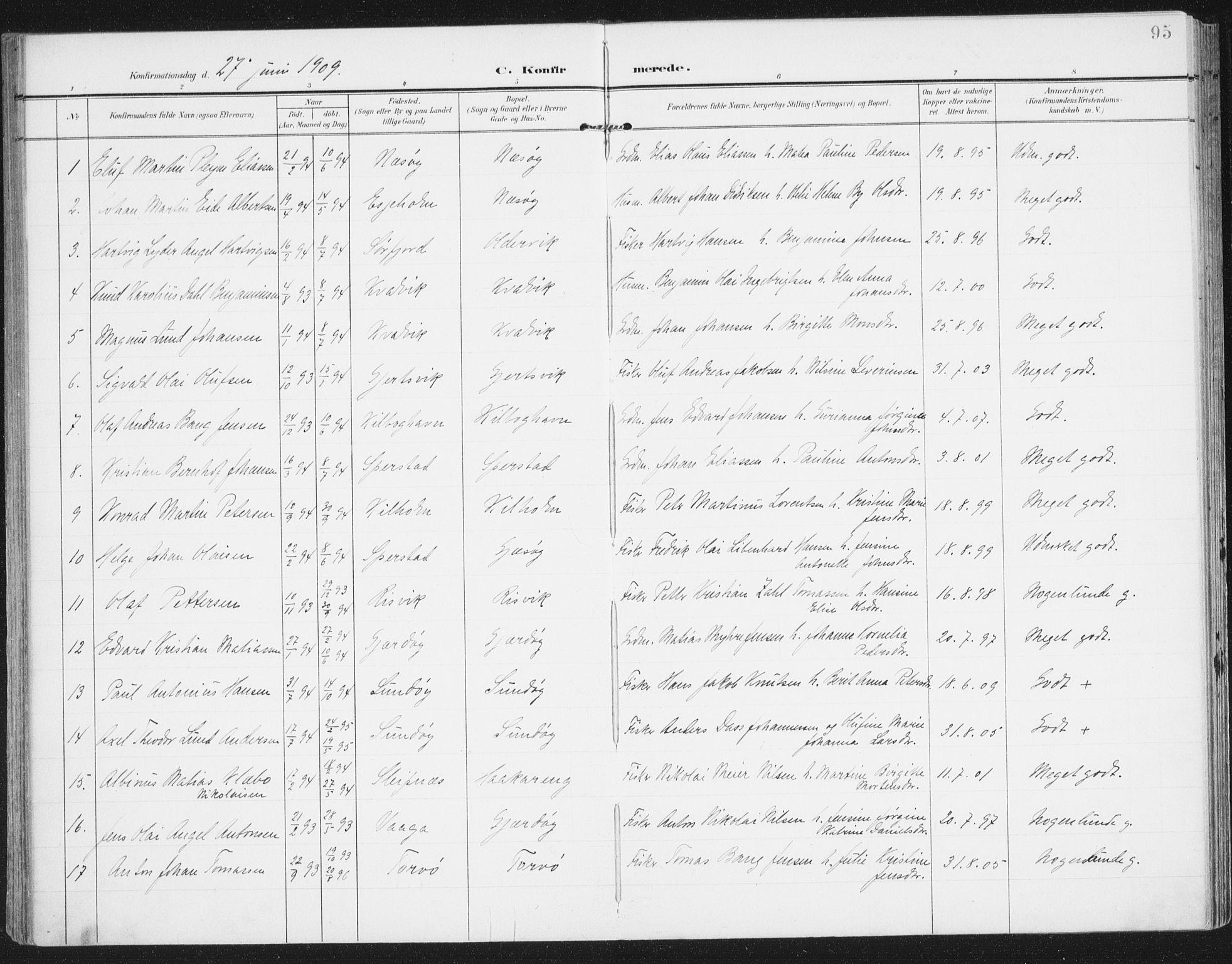 Ministerialprotokoller, klokkerbøker og fødselsregistre - Nordland, AV/SAT-A-1459/841/L0612: Parish register (official) no. 841A15, 1902-1910, p. 95