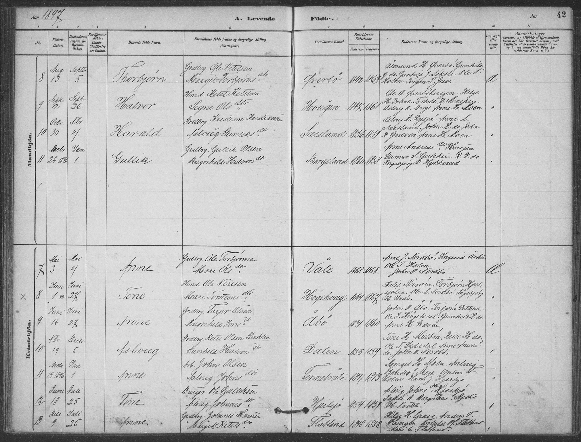 Hjartdal kirkebøker, SAKO/A-270/F/Fa/L0010: Parish register (official) no. I 10, 1880-1929, p. 42