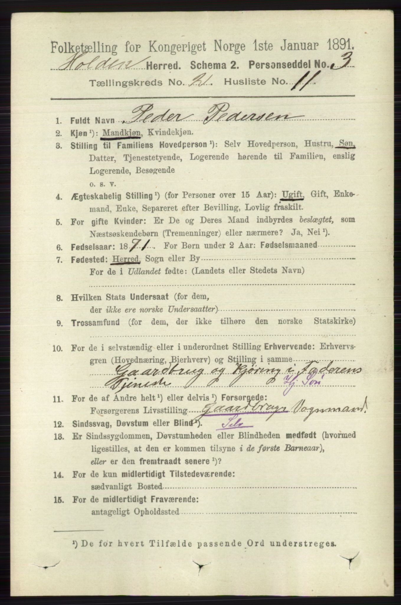 RA, 1891 census for 0819 Holla, 1891, p. 768