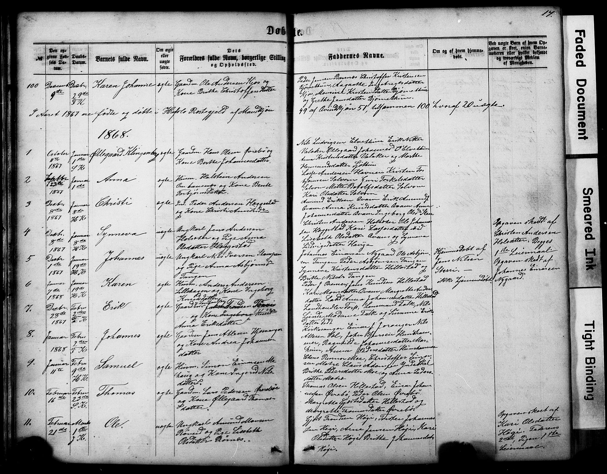 Hafslo sokneprestembete, SAB/A-80301/H/Hab/Haba/L0001: Parish register (copy) no. A 1, 1866-1908, p. 17