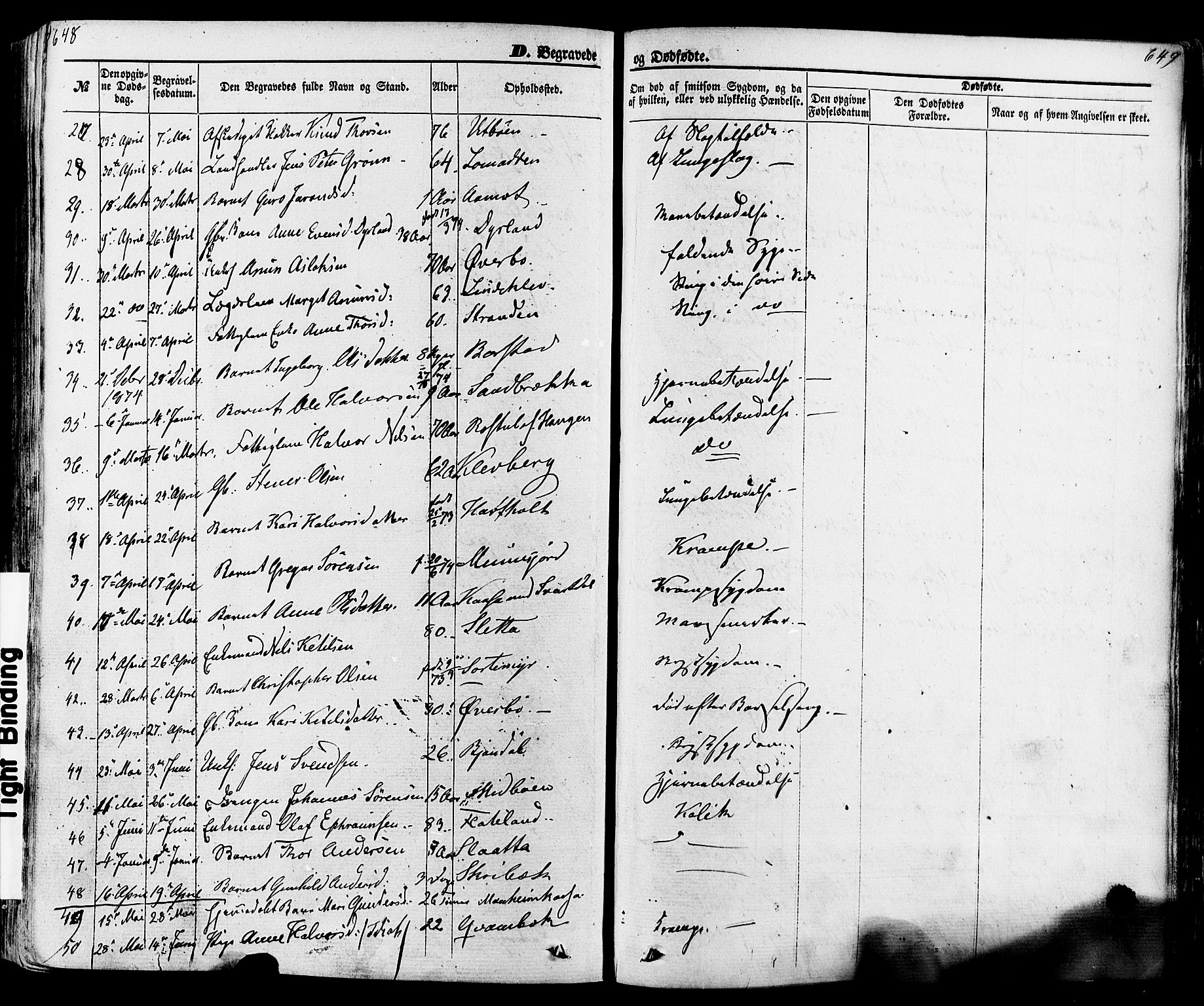 Seljord kirkebøker, SAKO/A-20/F/Fa/L0013: Parish register (official) no. I 13, 1866-1876, p. 648-649