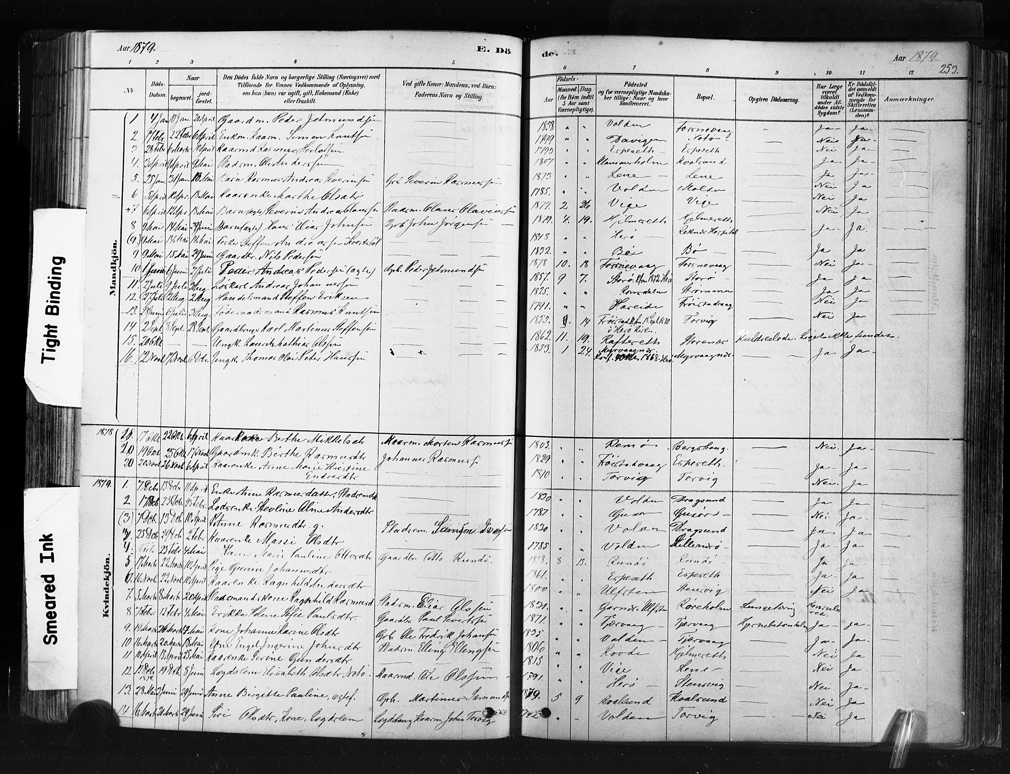 Ministerialprotokoller, klokkerbøker og fødselsregistre - Møre og Romsdal, SAT/A-1454/507/L0073: Parish register (official) no. 507A08, 1878-1904, p. 253