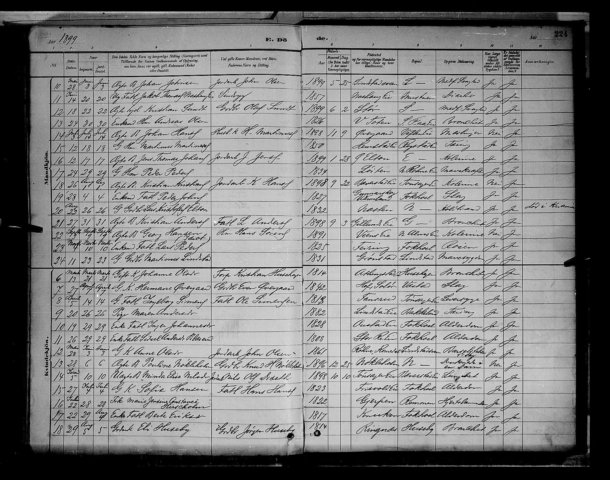 Stange prestekontor, AV/SAH-PREST-002/L/L0009: Parish register (copy) no. 9, 1883-1899, p. 224