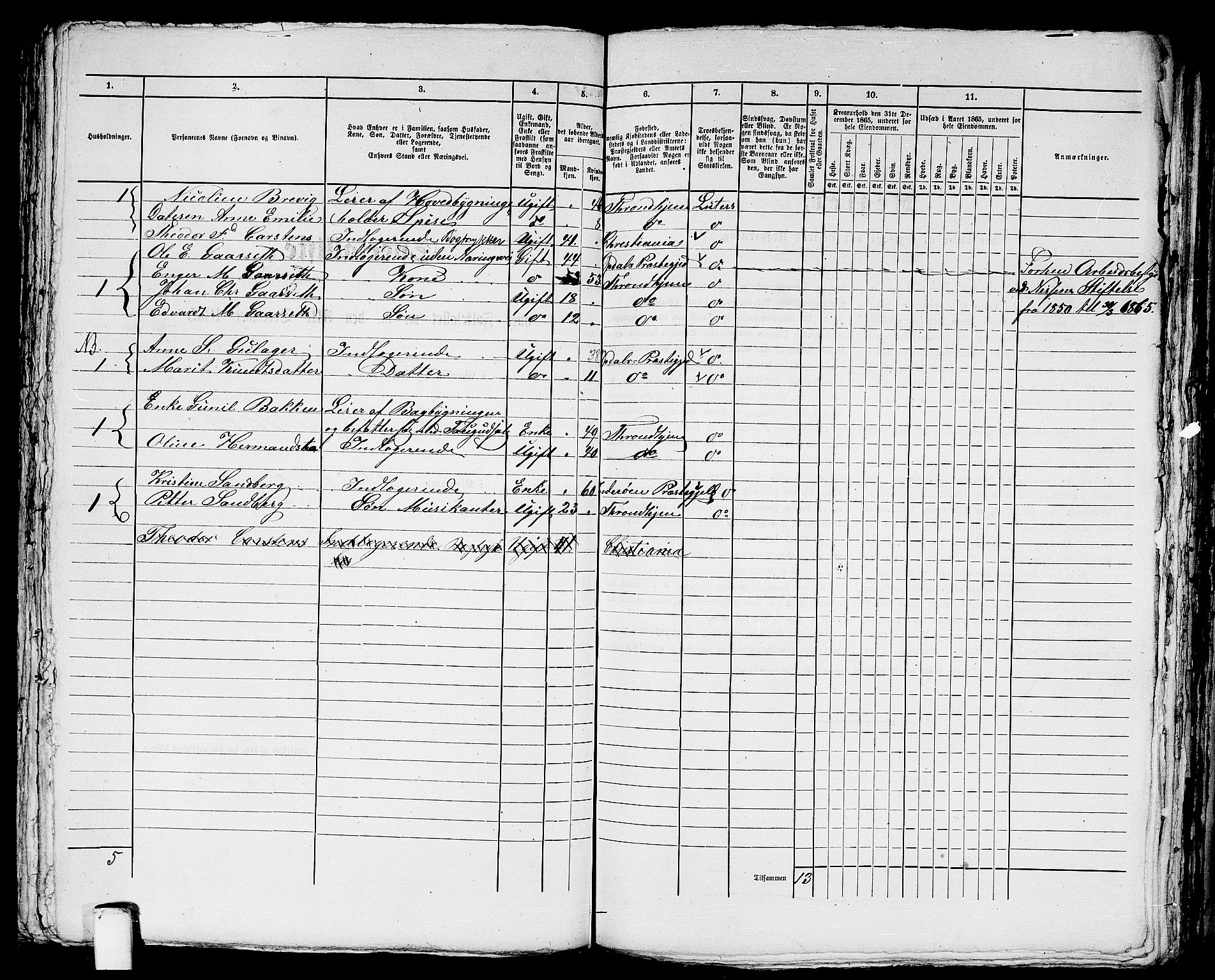 RA, 1865 census for Trondheim, 1865, p. 1810