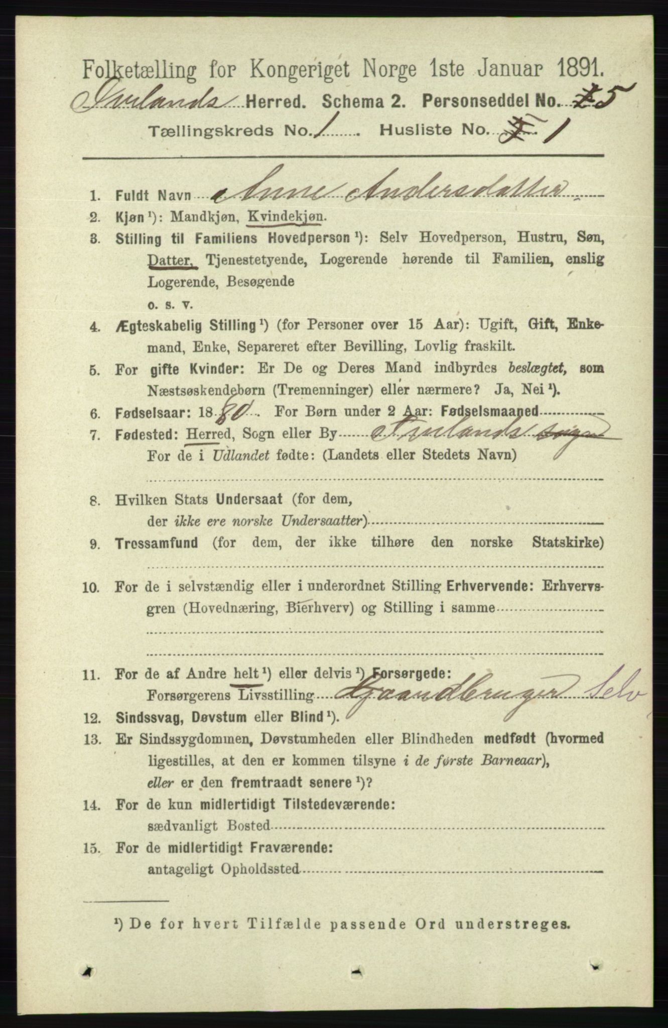 RA, 1891 census for 0935 Iveland, 1891, p. 64