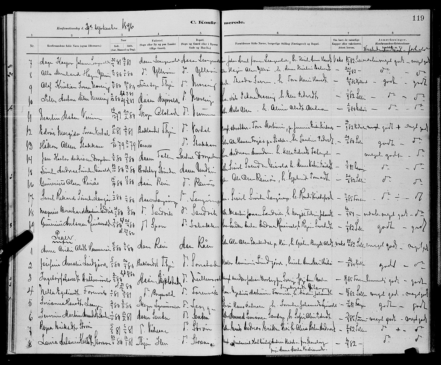 Ministerialprotokoller, klokkerbøker og fødselsregistre - Nord-Trøndelag, AV/SAT-A-1458/714/L0134: Parish register (copy) no. 714C03, 1878-1898, p. 119