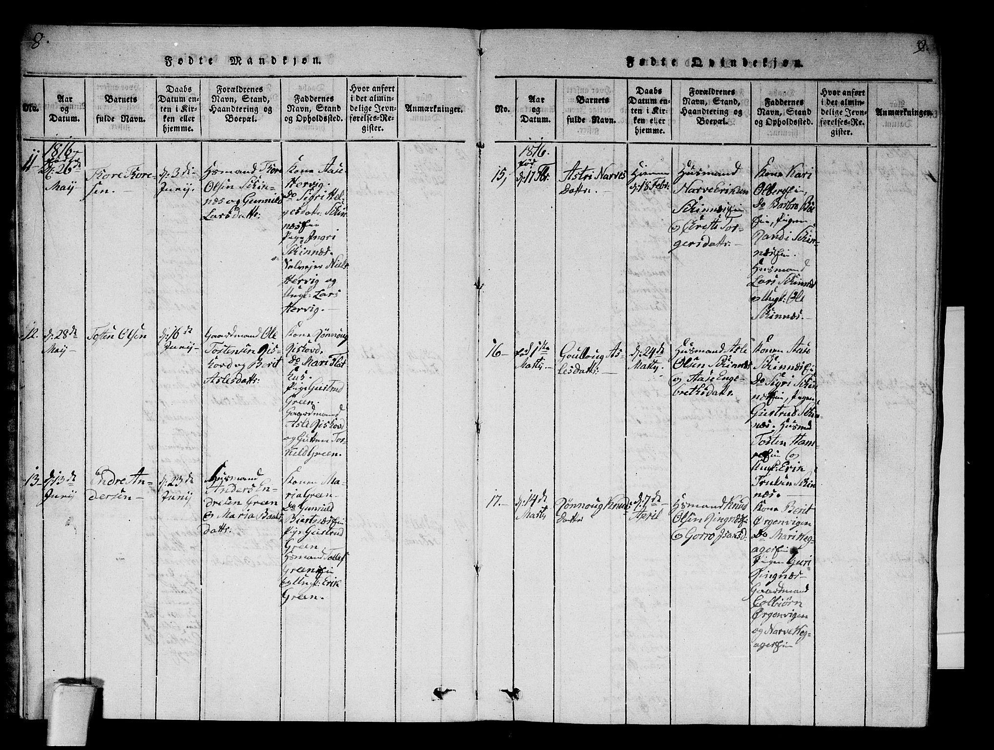 Krødsherad kirkebøker, AV/SAKO-A-19/F/Fa/L0001: Parish register (official) no. 1, 1815-1829, p. 8-9