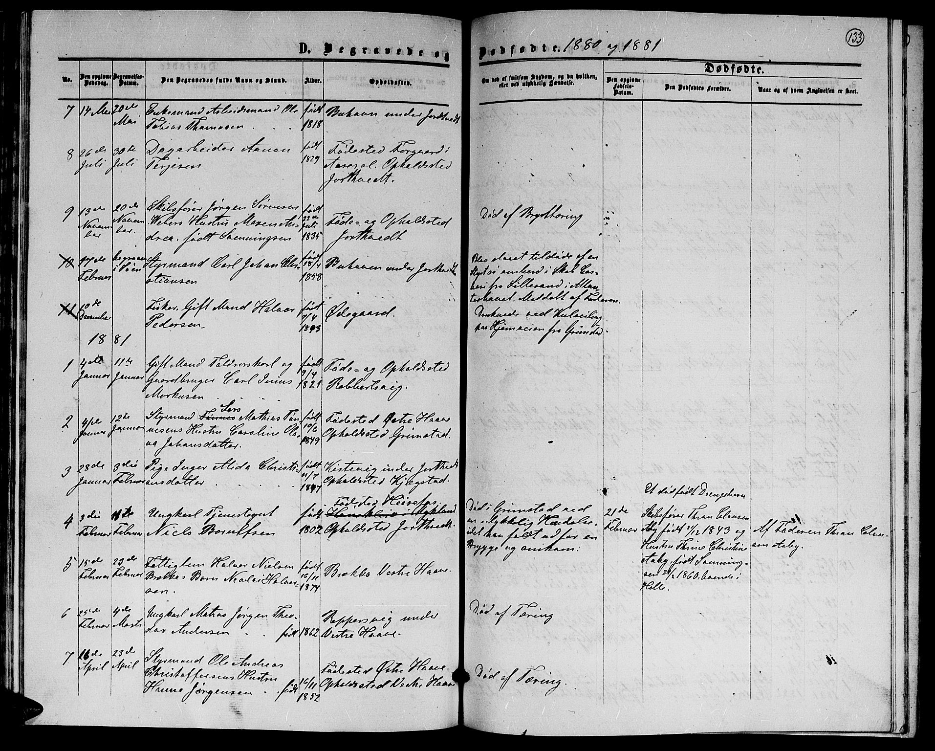 Hommedal sokneprestkontor, AV/SAK-1111-0023/F/Fb/Fba/L0003: Parish register (copy) no. B 3, 1863-1884, p. 133