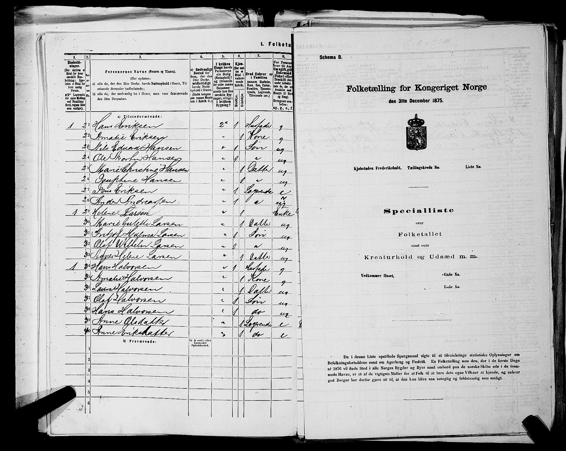 RA, 1875 census for 0101P Fredrikshald, 1875, p. 1133