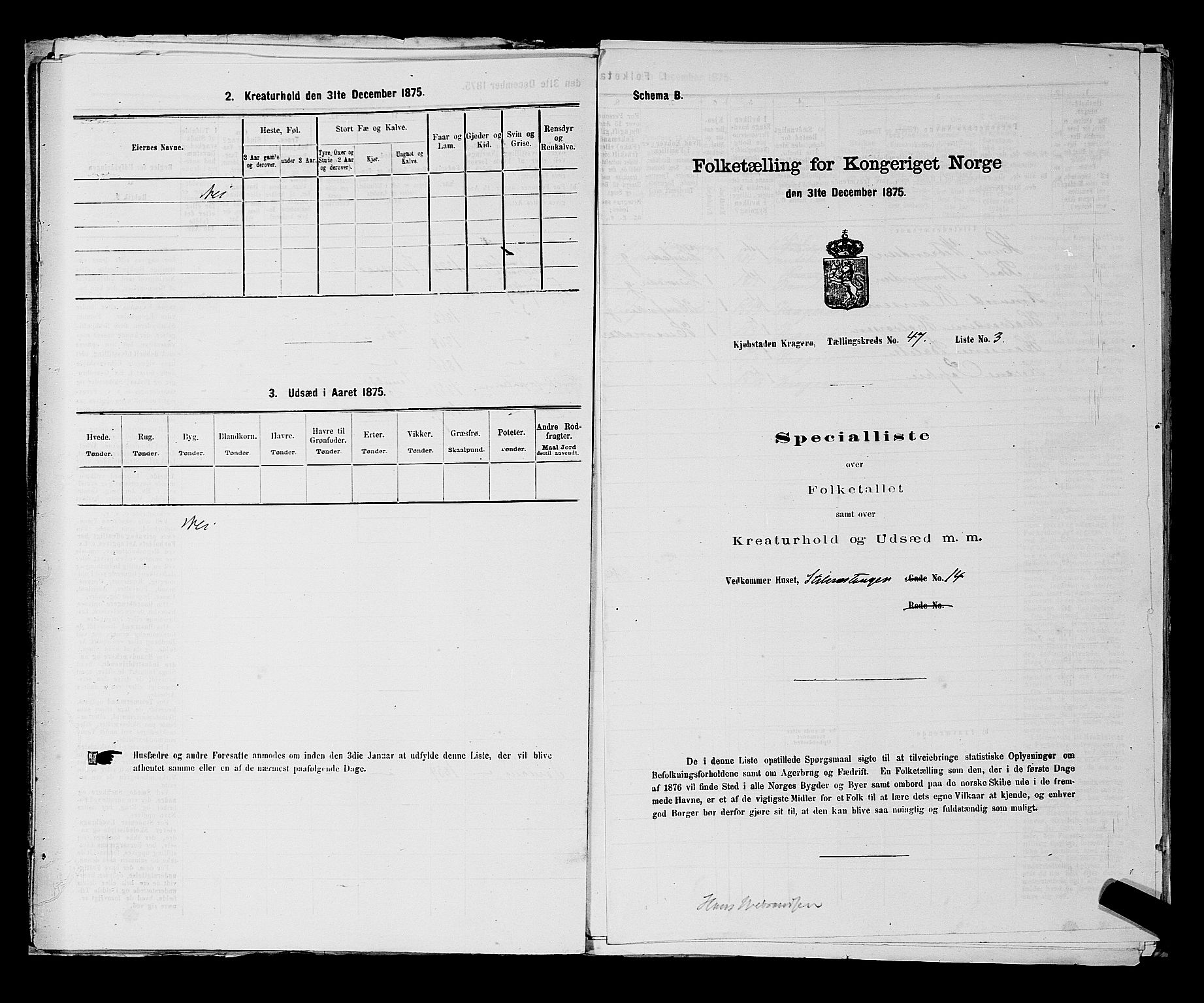 SAKO, 1875 census for 0801P Kragerø, 1875, p. 1040