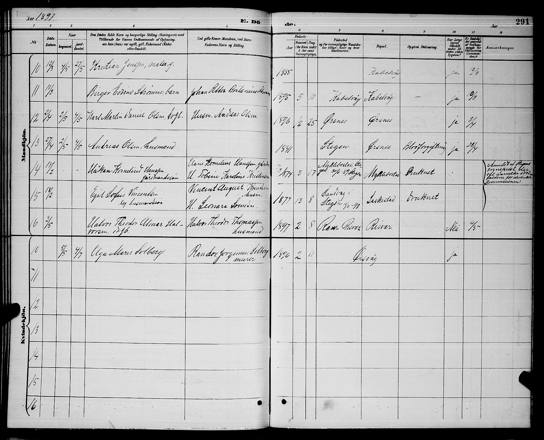 Ministerialprotokoller, klokkerbøker og fødselsregistre - Nordland, AV/SAT-A-1459/874/L1077: Parish register (copy) no. 874C06, 1891-1900, p. 291