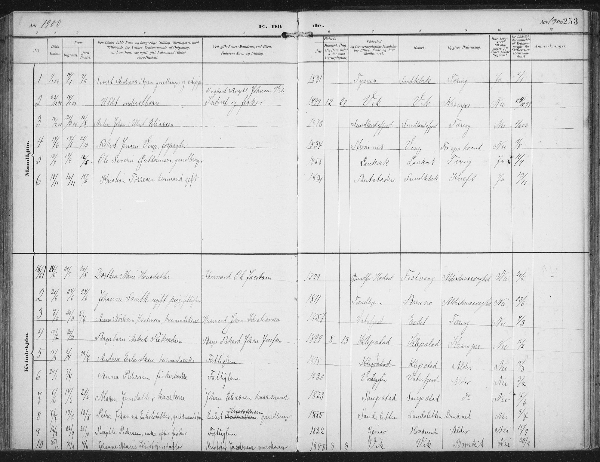 Ministerialprotokoller, klokkerbøker og fødselsregistre - Nordland, SAT/A-1459/876/L1098: Parish register (official) no. 876A04, 1896-1915, p. 253