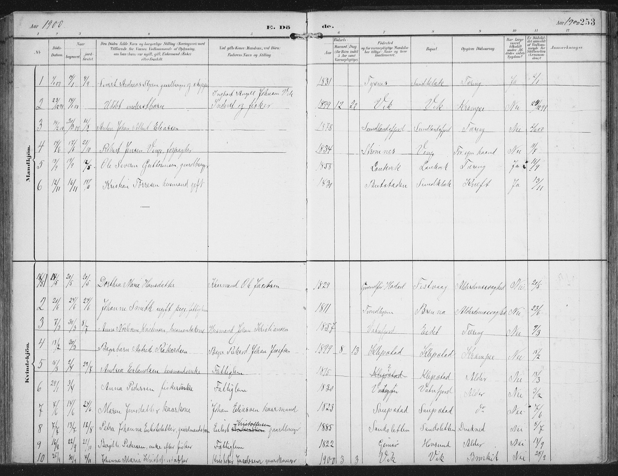 Ministerialprotokoller, klokkerbøker og fødselsregistre - Nordland, AV/SAT-A-1459/876/L1098: Parish register (official) no. 876A04, 1896-1915, p. 253