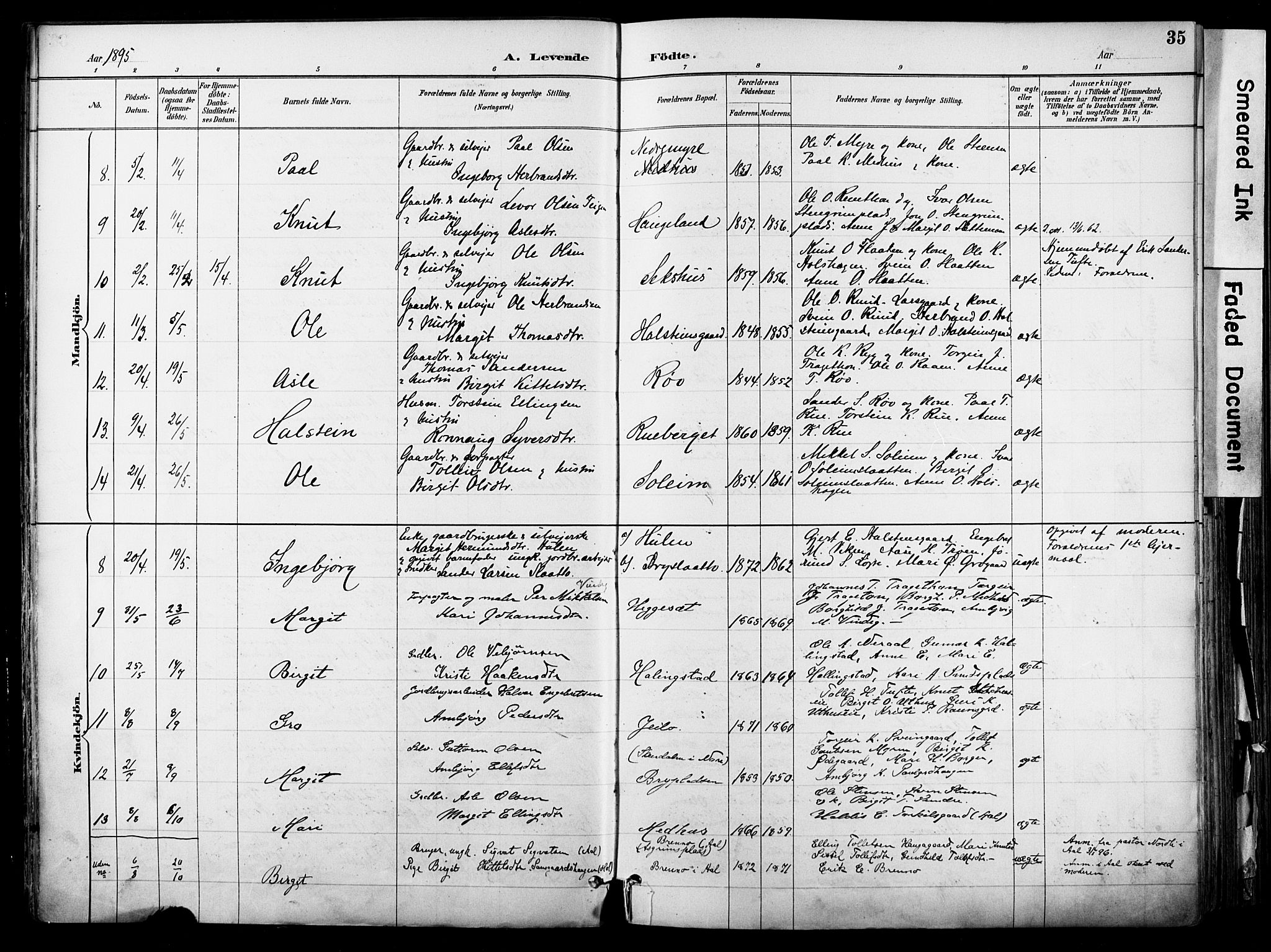 Hol kirkebøker, SAKO/A-227/F/Fa/L0003: Parish register (official) no. I 3, 1887-1918, p. 35