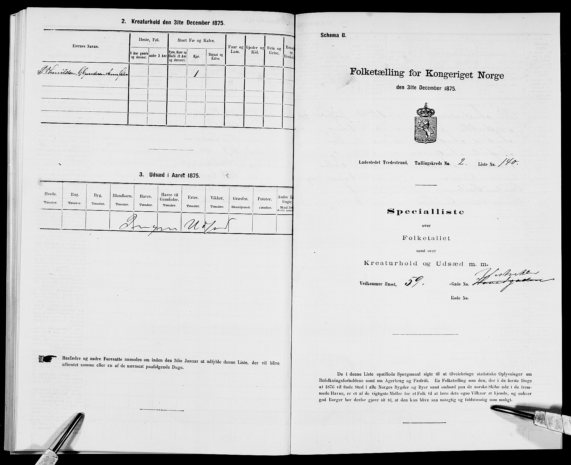 SAK, 1875 census for 0902B Holt/Tvedestrand, 1875, p. 299