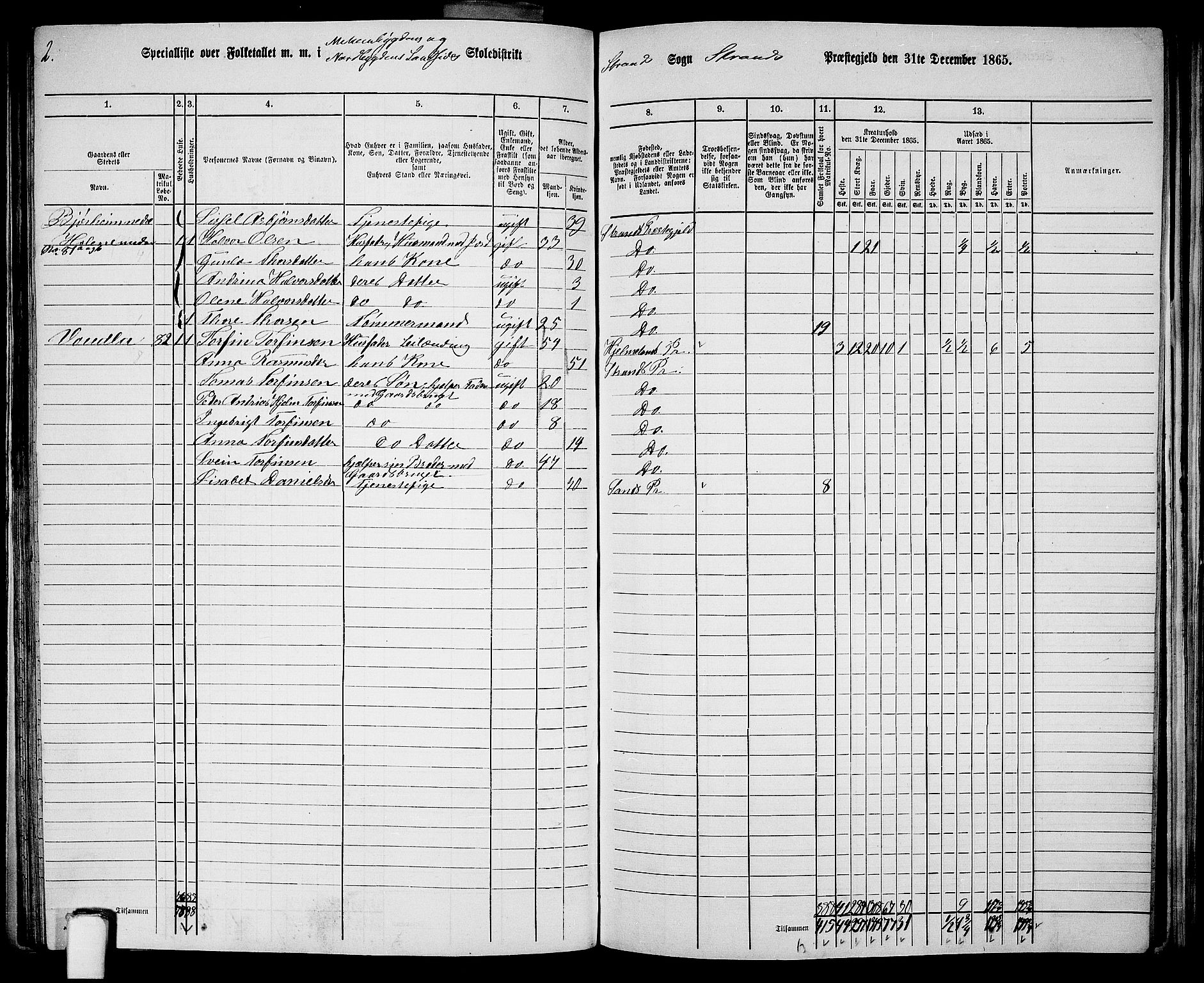 RA, 1865 census for Strand, 1865, p. 37