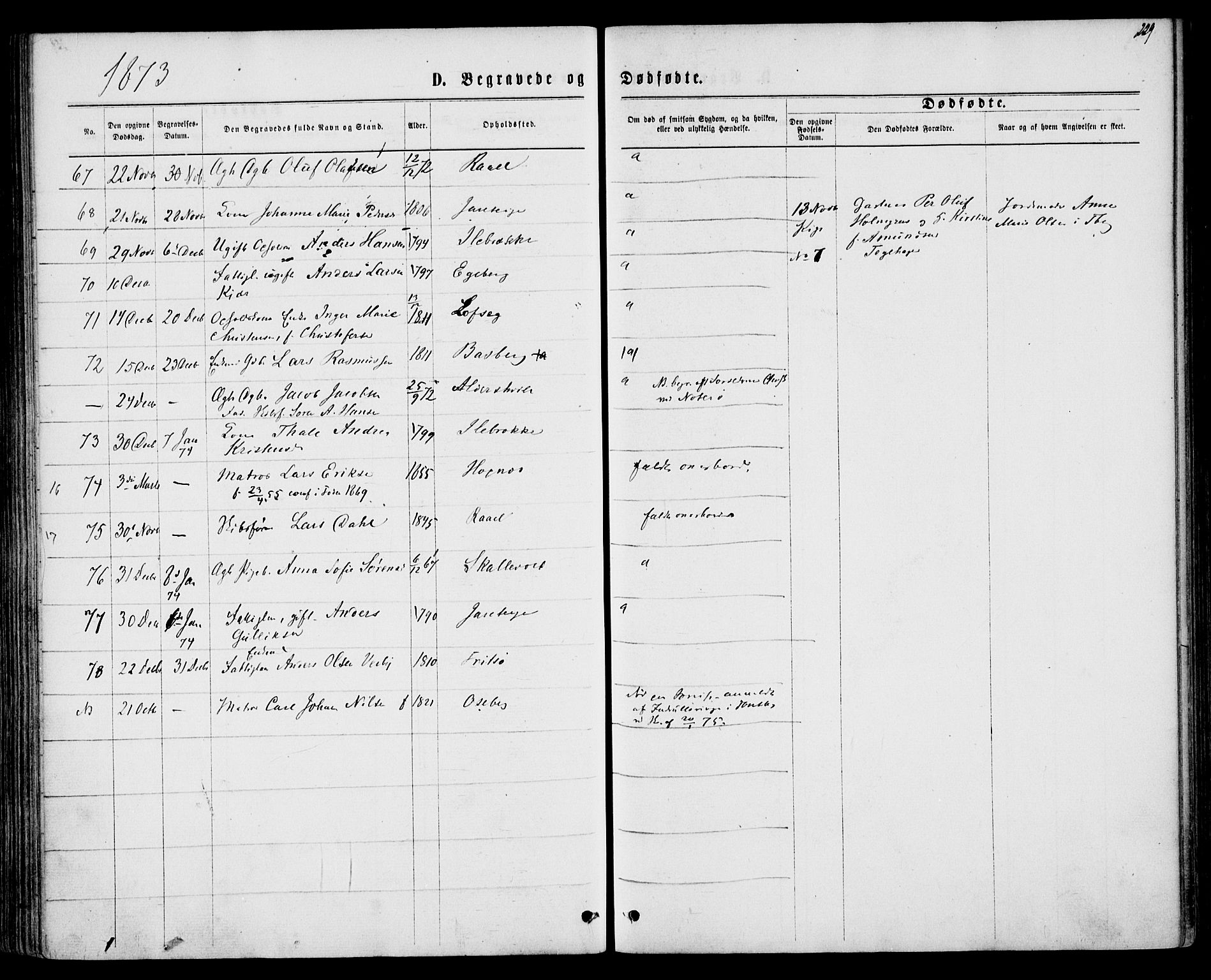 Sem kirkebøker, AV/SAKO-A-5/F/Fa/L0008: Parish register (official) no. I 8, 1866-1873, p. 229