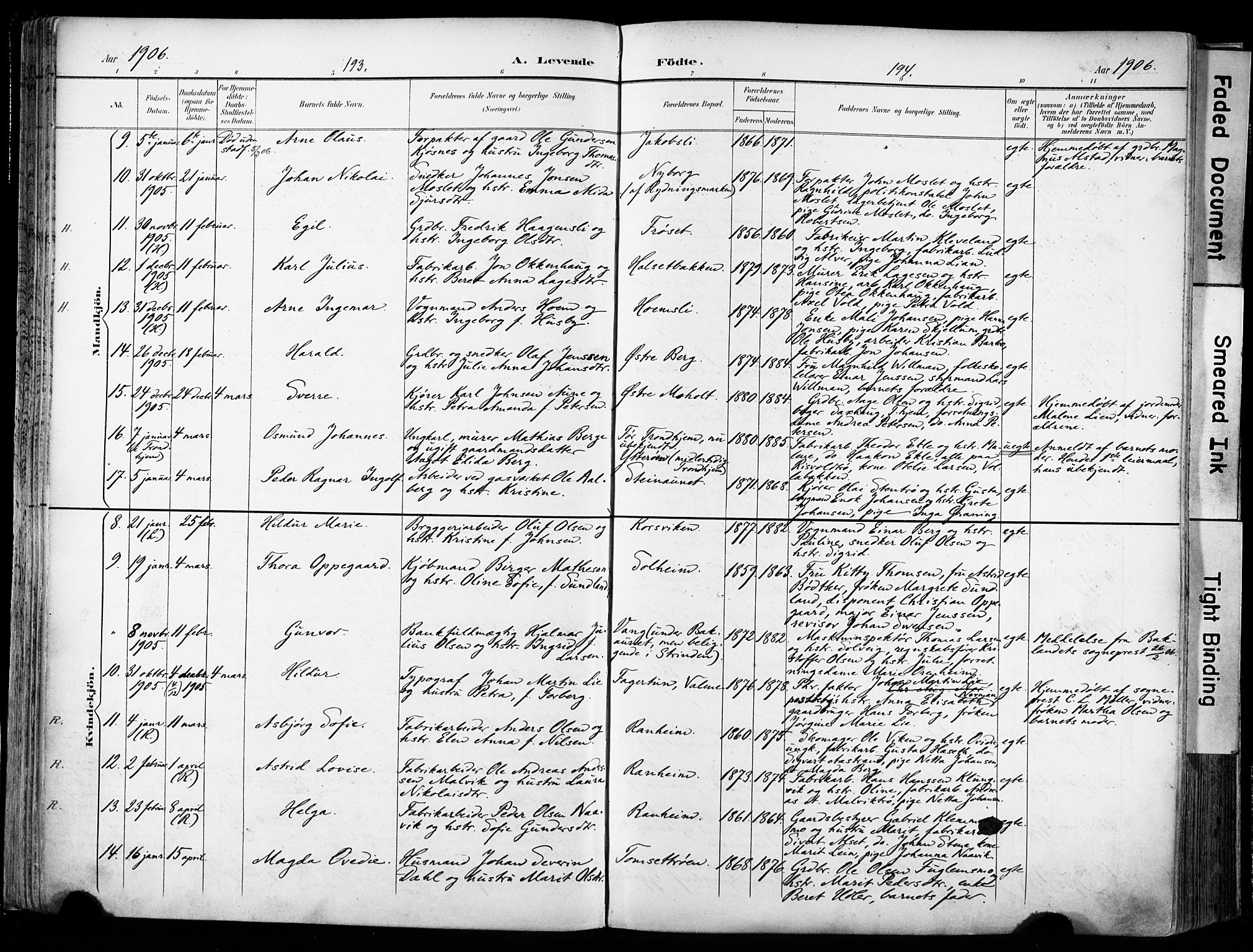 Ministerialprotokoller, klokkerbøker og fødselsregistre - Sør-Trøndelag, AV/SAT-A-1456/606/L0301: Parish register (official) no. 606A16, 1894-1907, p. 193-194