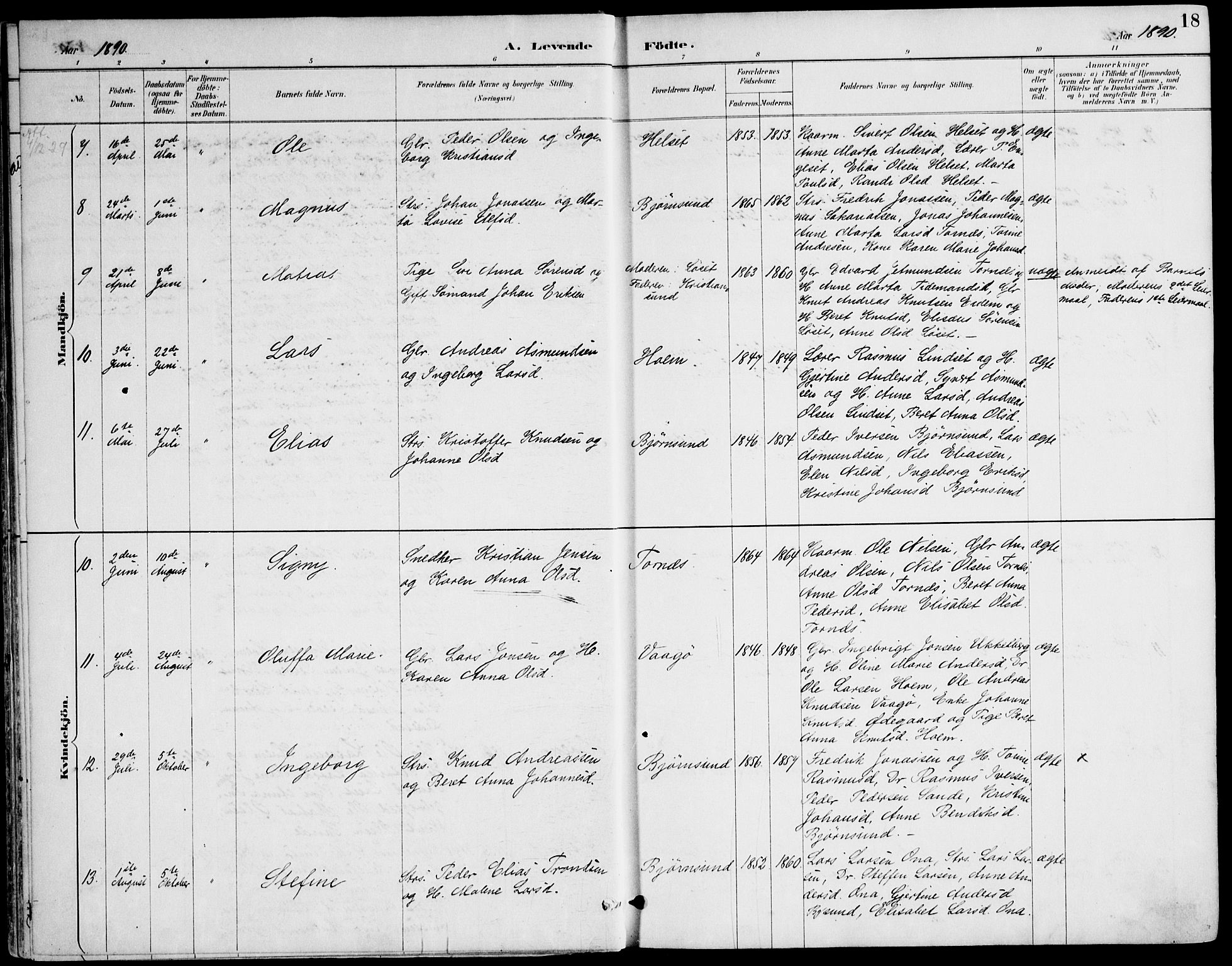 Ministerialprotokoller, klokkerbøker og fødselsregistre - Møre og Romsdal, AV/SAT-A-1454/565/L0750: Parish register (official) no. 565A04, 1887-1905, p. 18