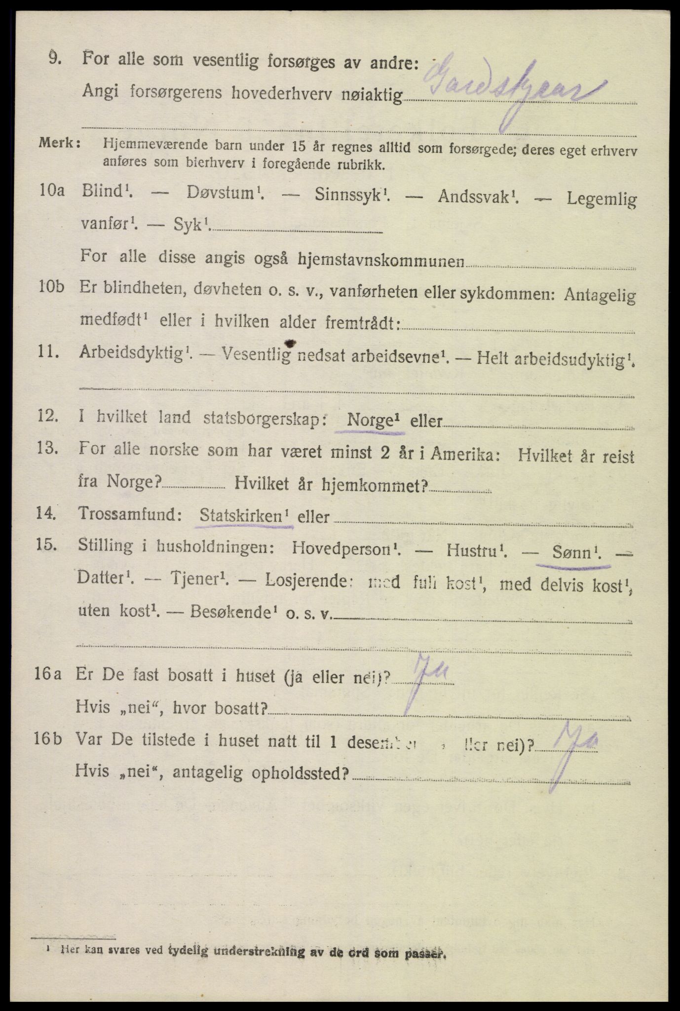 SAK, 1920 census for Hornnes, 1920, p. 1132