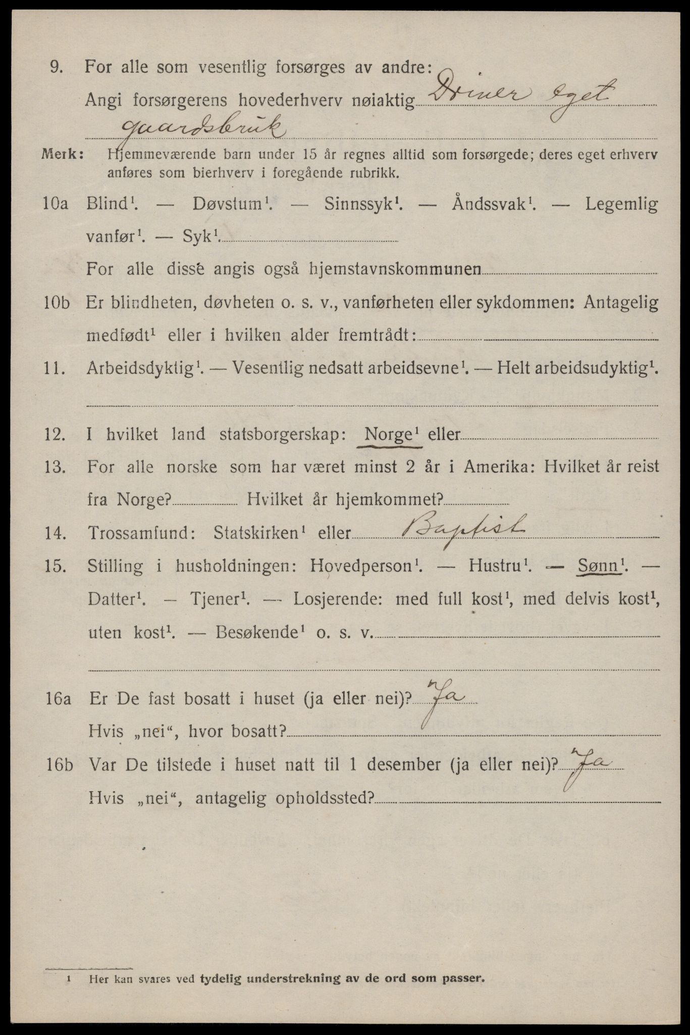 SAKO, 1920 census for Tinn, 1920, p. 4641