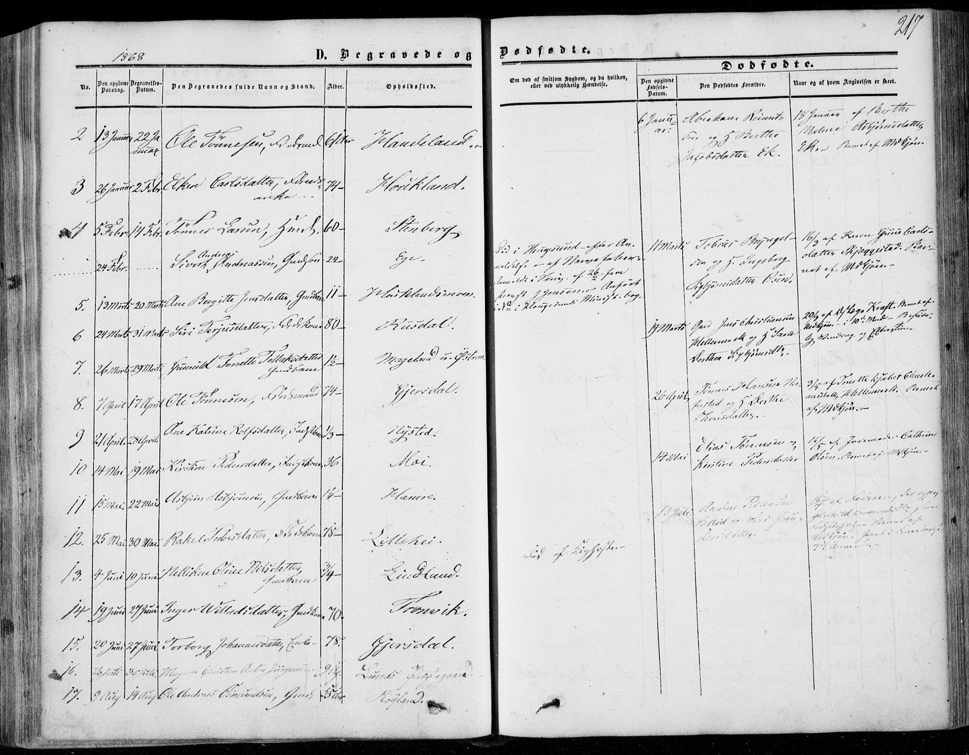 Lund sokneprestkontor, AV/SAST-A-101809/S06/L0009: Parish register (official) no. A 8, 1853-1877, p. 217