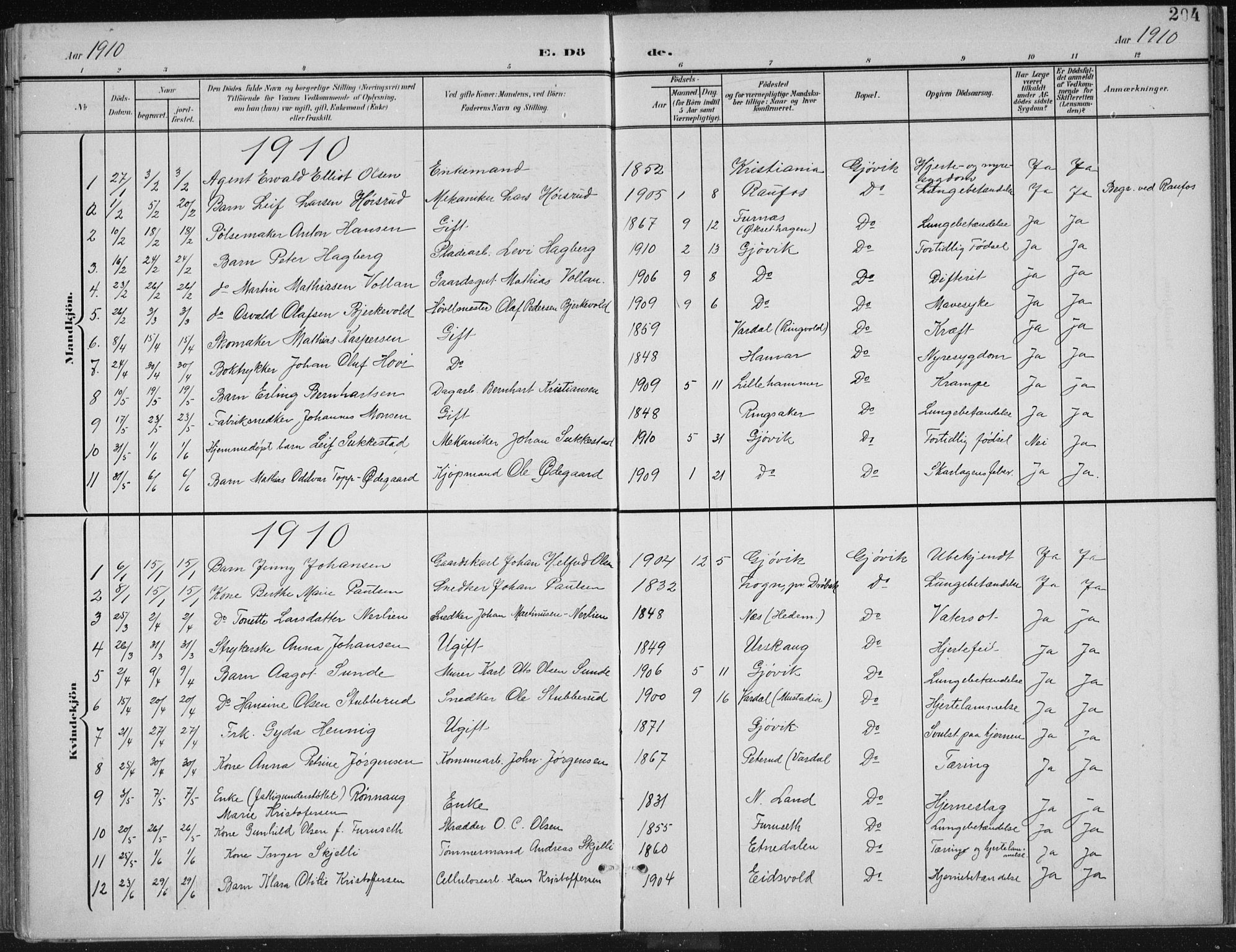 Vardal prestekontor, SAH/PREST-100/H/Ha/Haa/L0013: Parish register (official) no. 13, 1901-1911, p. 204