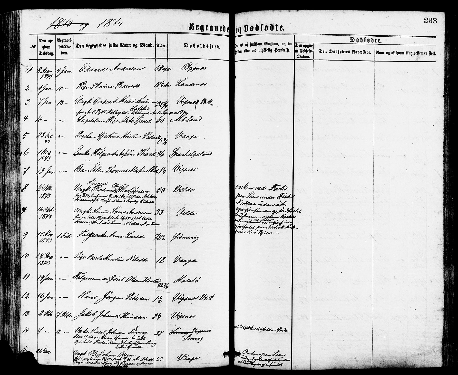 Avaldsnes sokneprestkontor, SAST/A -101851/H/Ha/Haa/L0012: Parish register (official) no. A 12, 1865-1880, p. 238