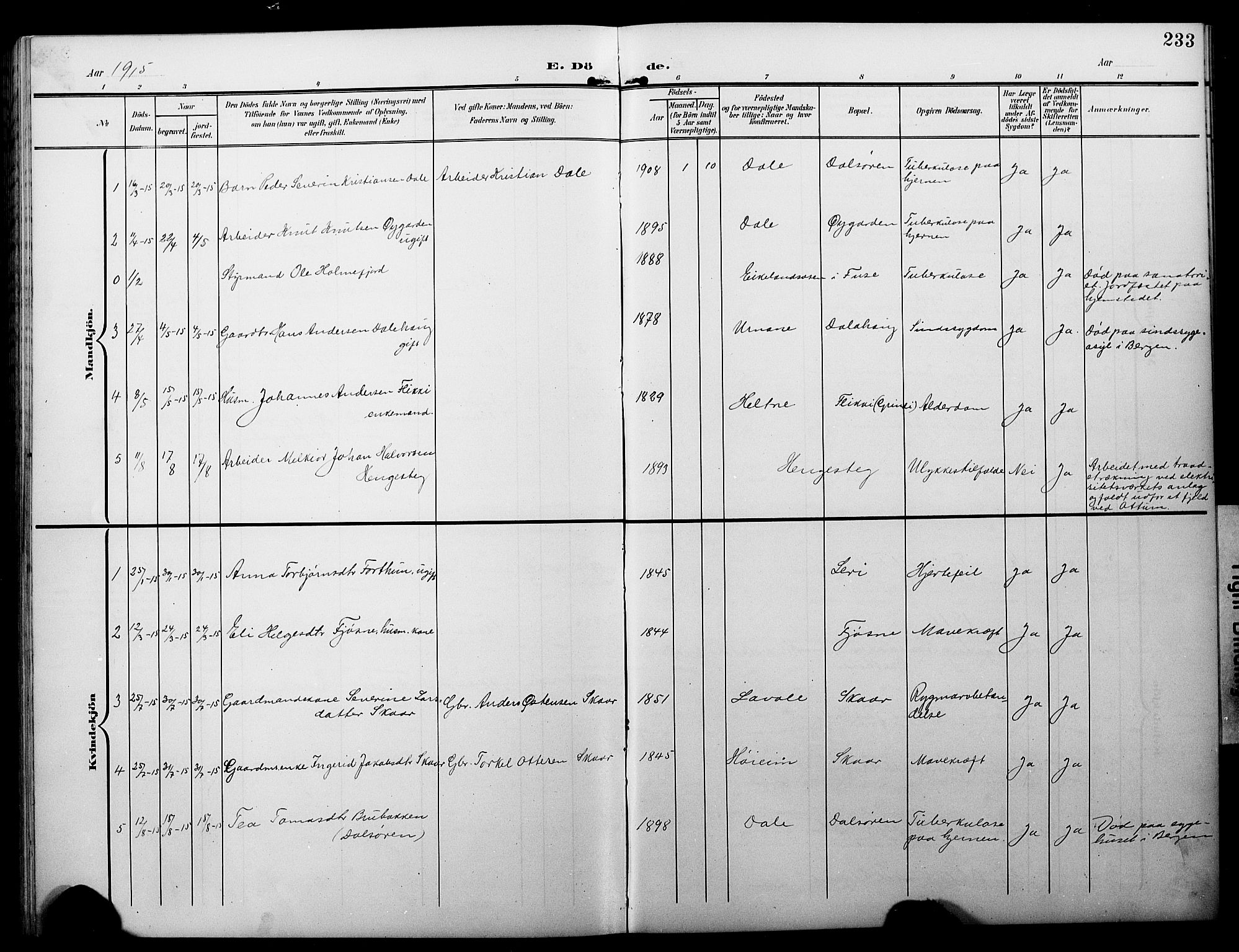 Luster sokneprestembete, AV/SAB-A-81101/H/Hab/Haba/L0001: Parish register (copy) no. A 1, 1903-1930, p. 233