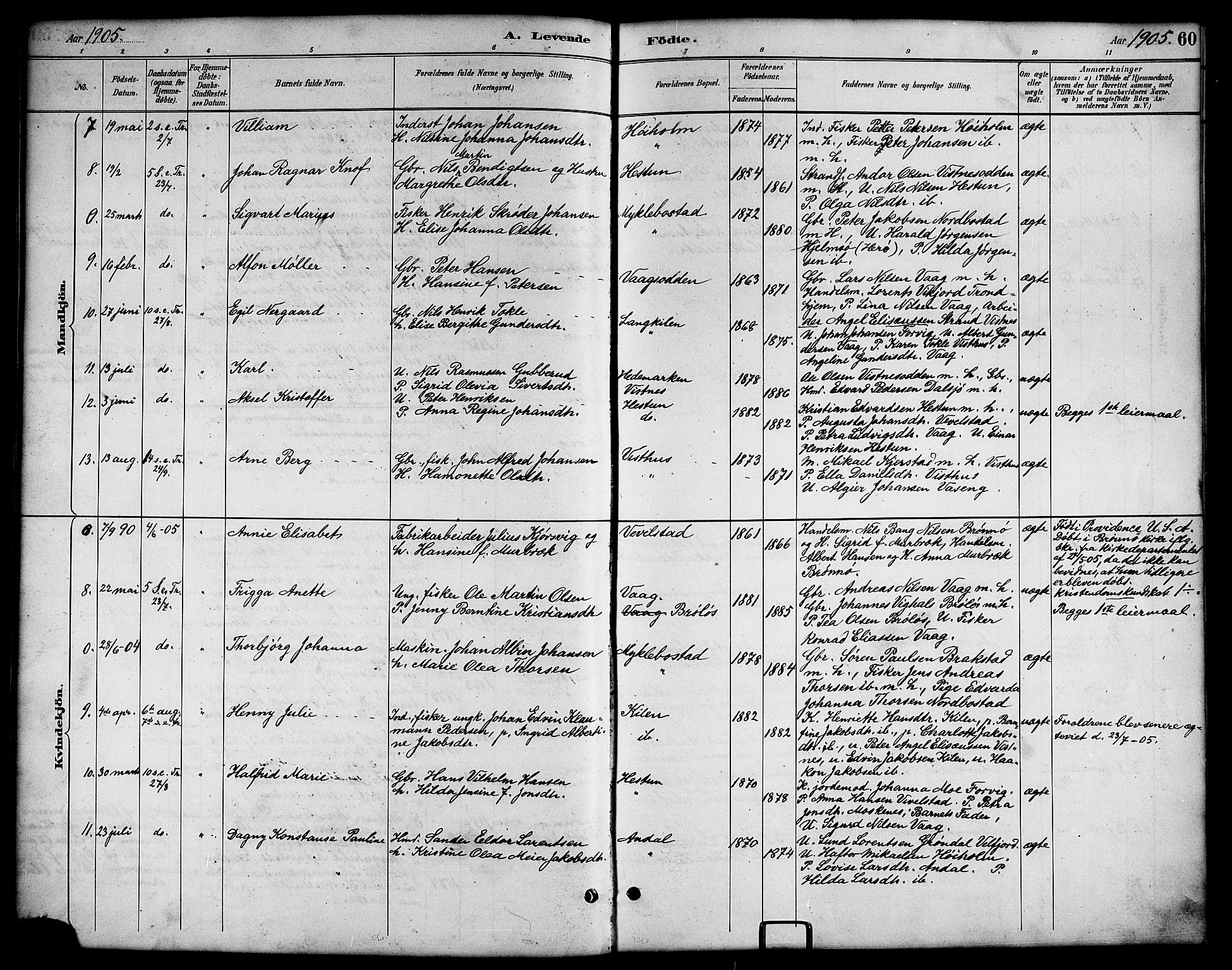 Ministerialprotokoller, klokkerbøker og fødselsregistre - Nordland, AV/SAT-A-1459/819/L0277: Parish register (copy) no. 819C03, 1888-1917, p. 60