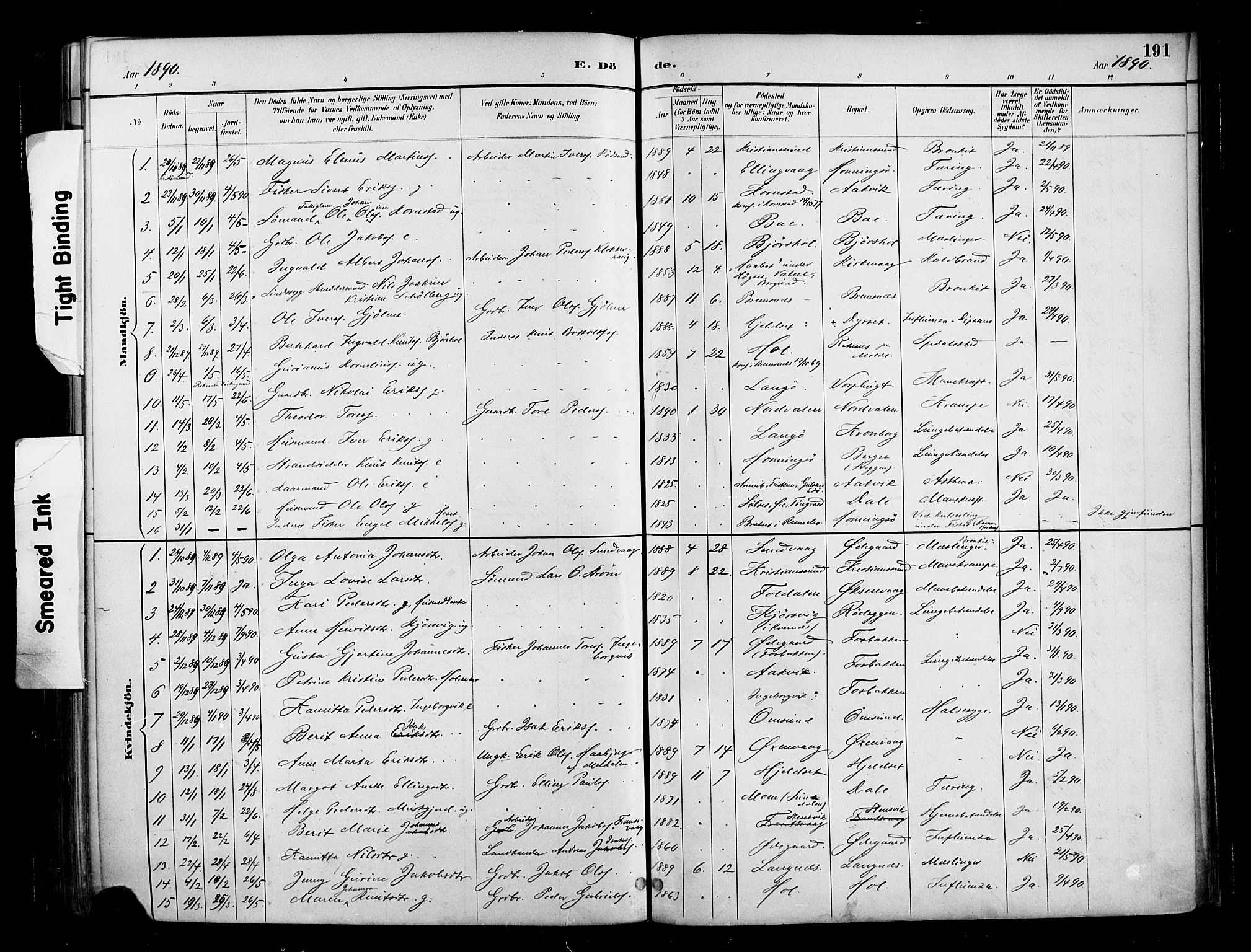 Ministerialprotokoller, klokkerbøker og fødselsregistre - Møre og Romsdal, AV/SAT-A-1454/569/L0819: Parish register (official) no. 569A05, 1885-1899, p. 191