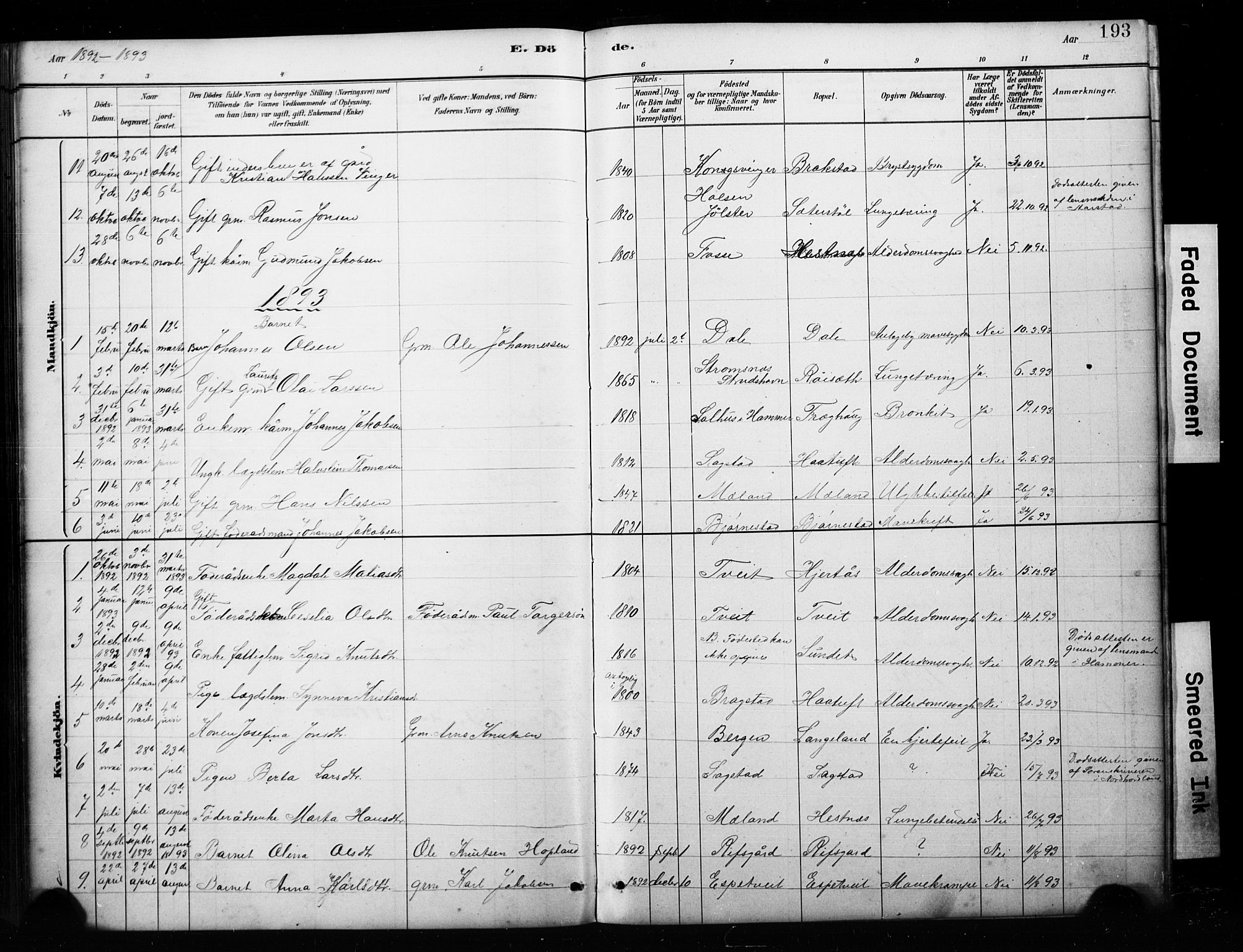 Alversund Sokneprestembete, SAB/A-73901/H/Ha/Hab: Parish register (copy) no. C 3, 1881-1894, p. 193