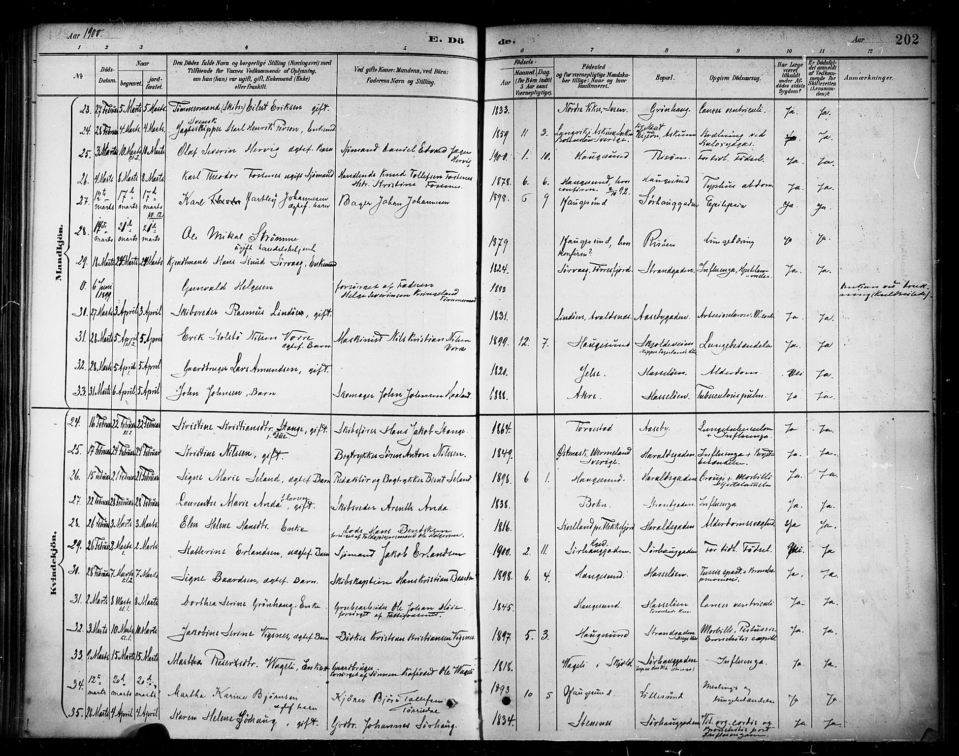 Haugesund sokneprestkontor, AV/SAST-A -101863/H/Ha/Haa/L0005: Parish register (official) no. A 5, 1891-1903, p. 202