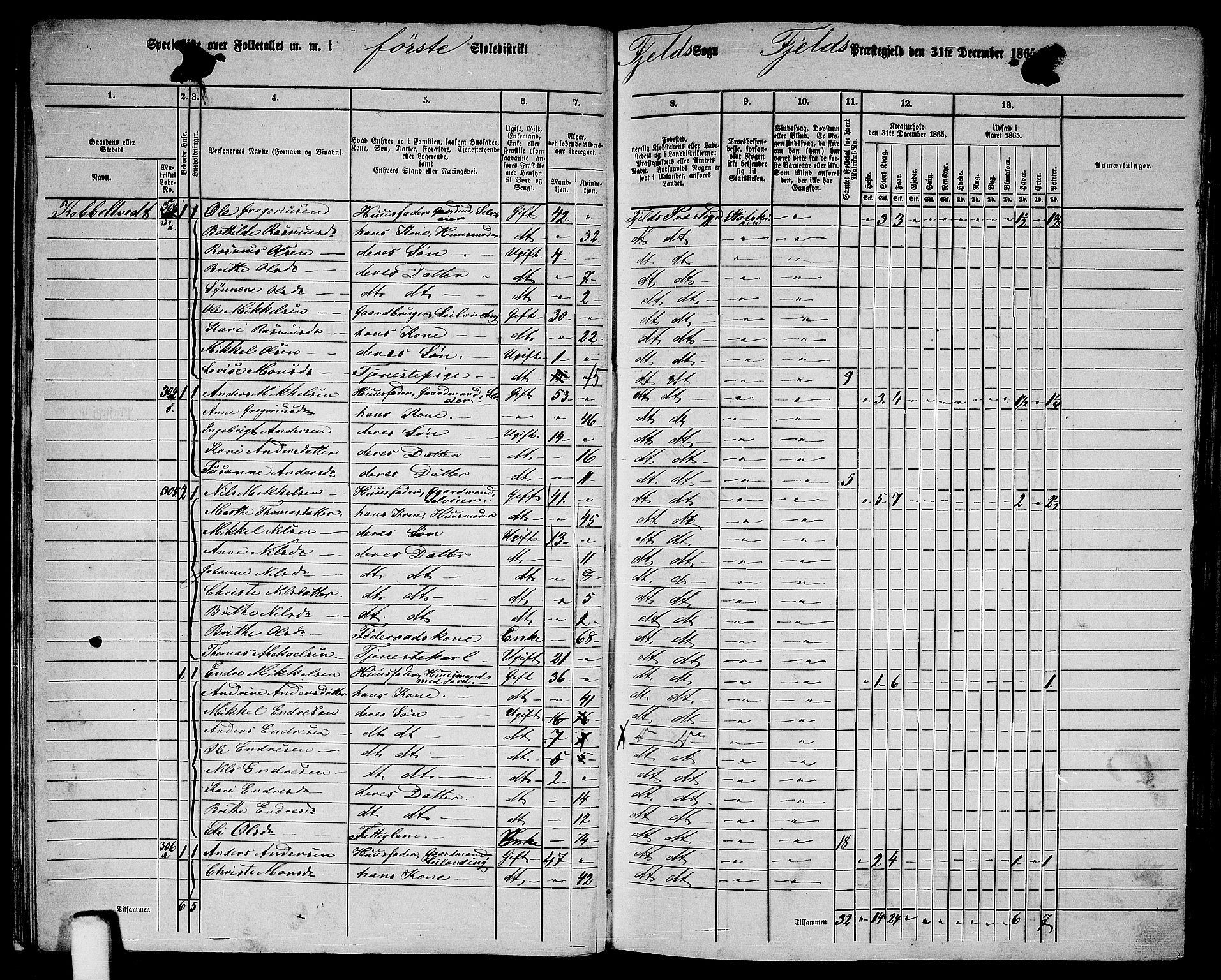 RA, 1865 census for Fjell, 1865, p. 17