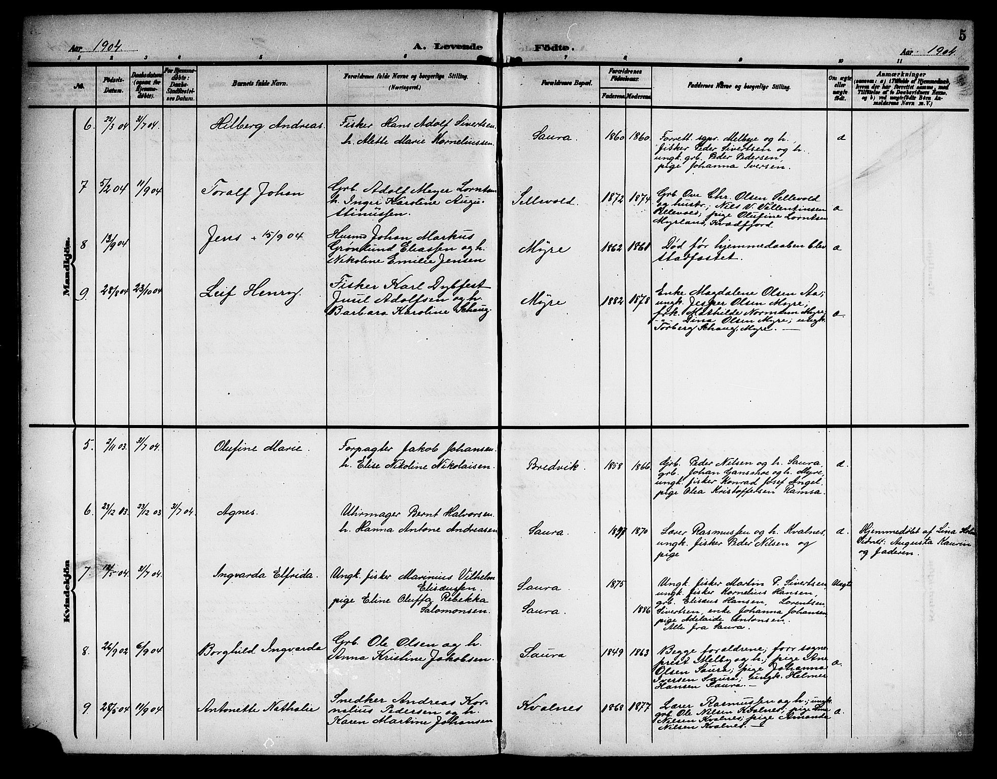 Ministerialprotokoller, klokkerbøker og fødselsregistre - Nordland, AV/SAT-A-1459/897/L1414: Parish register (copy) no. 897C04, 1904-1915, p. 5