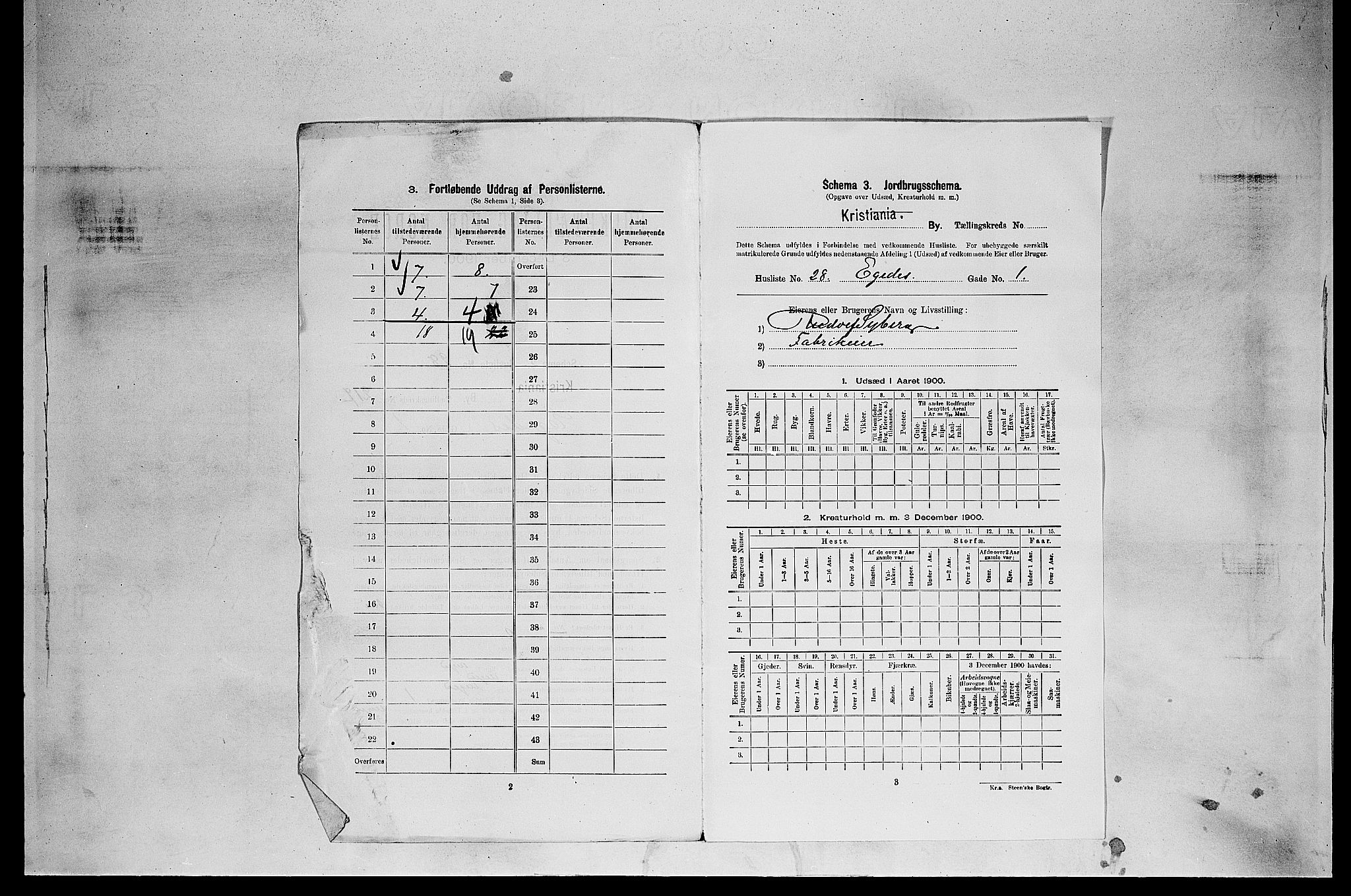 SAO, 1900 census for Kristiania, 1900, p. 18165