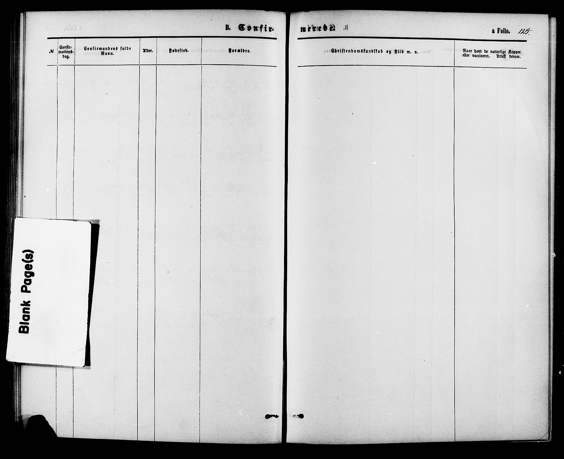 Herefoss sokneprestkontor, SAK/1111-0019/F/Fa/Fab/L0003: Parish register (official) no. A 3, 1875-1886, p. 125