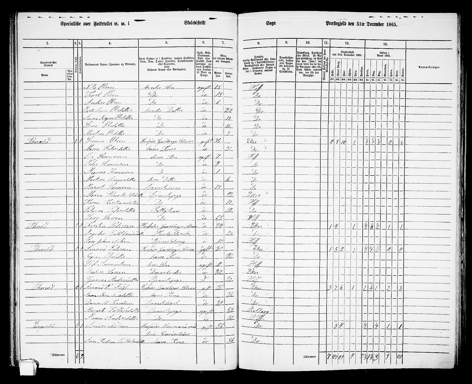 RA, 1865 census for Hof, 1865, p. 57